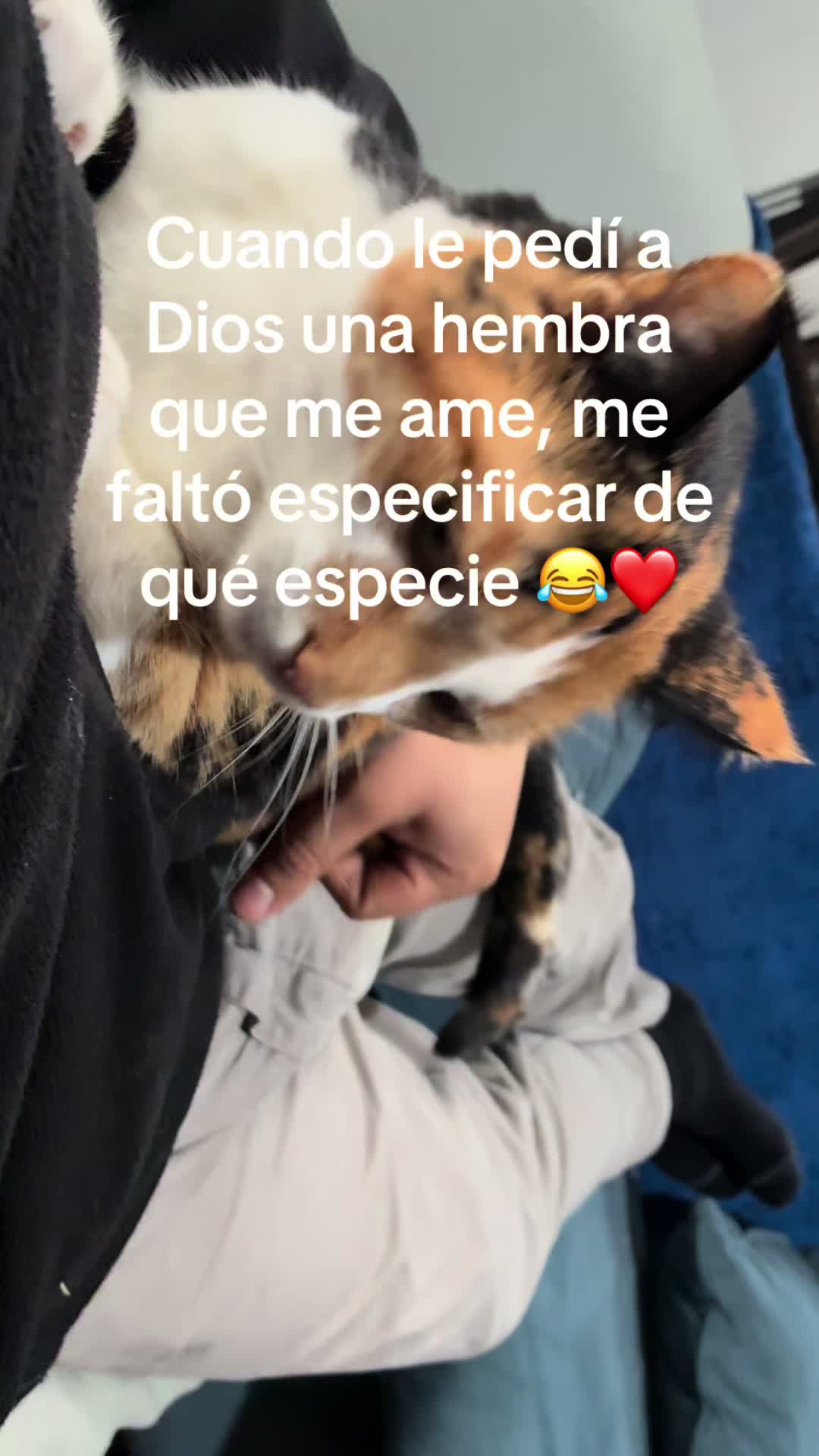 @Diego Chamorro