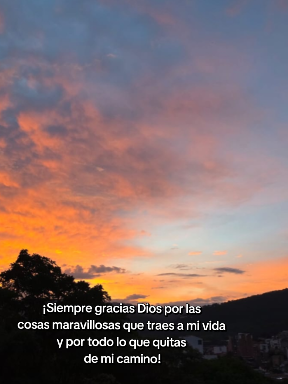 @Liliana Zabala Mendoza