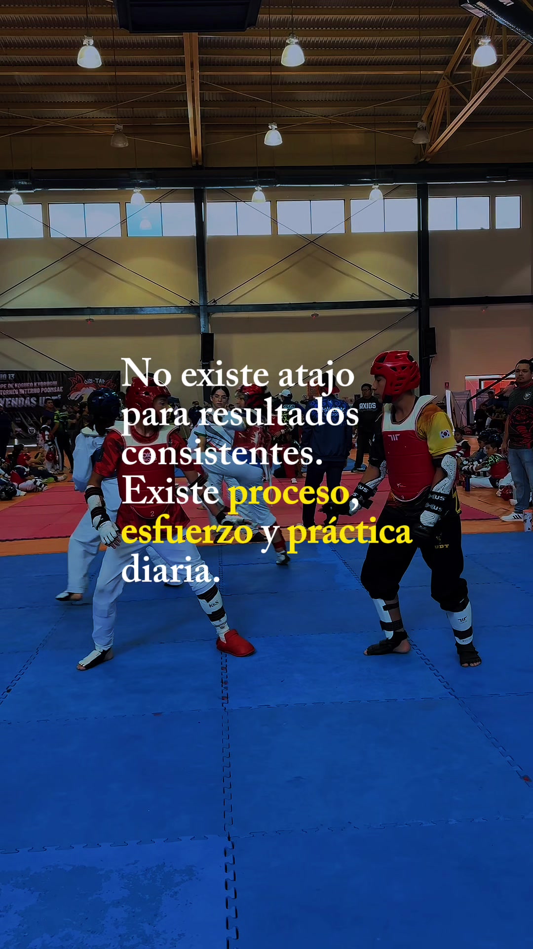 @taekwondolionsteam