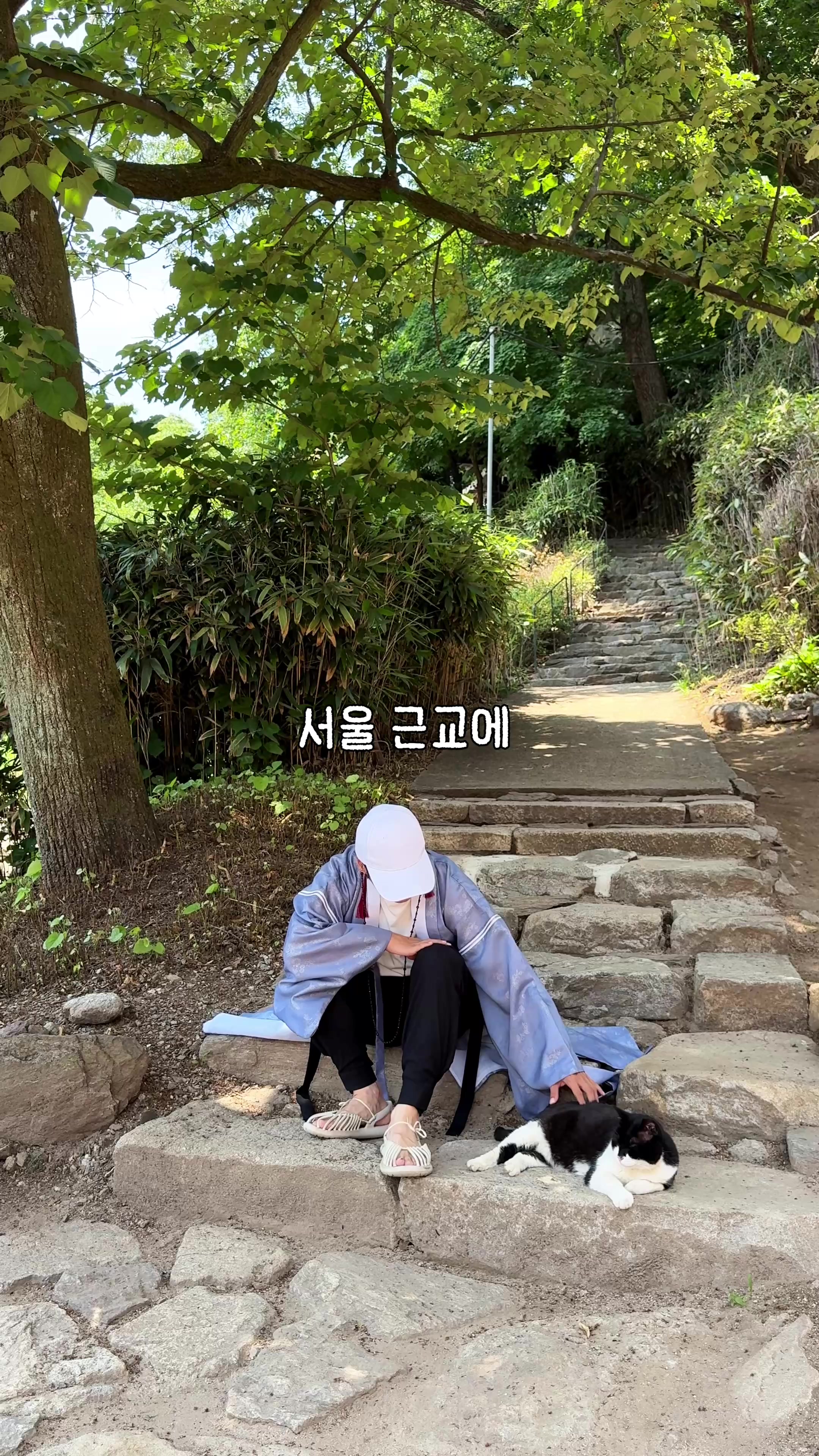 @traveler_jin
