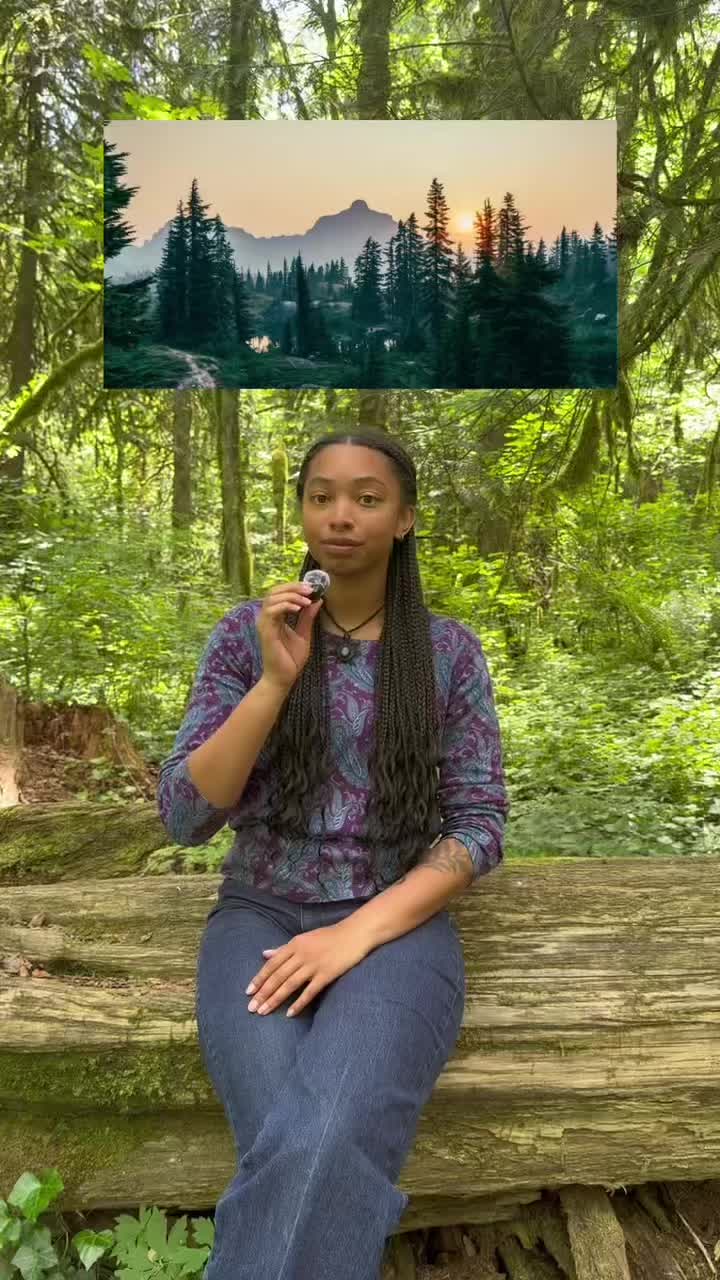 @Gabbi