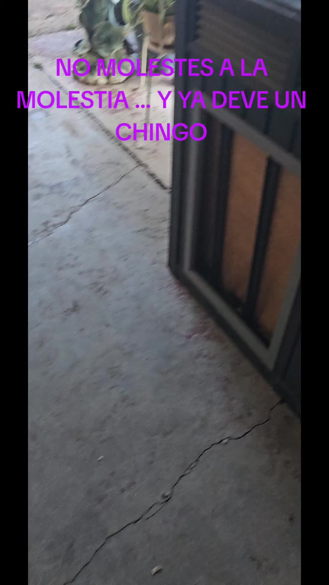@Ragde2025