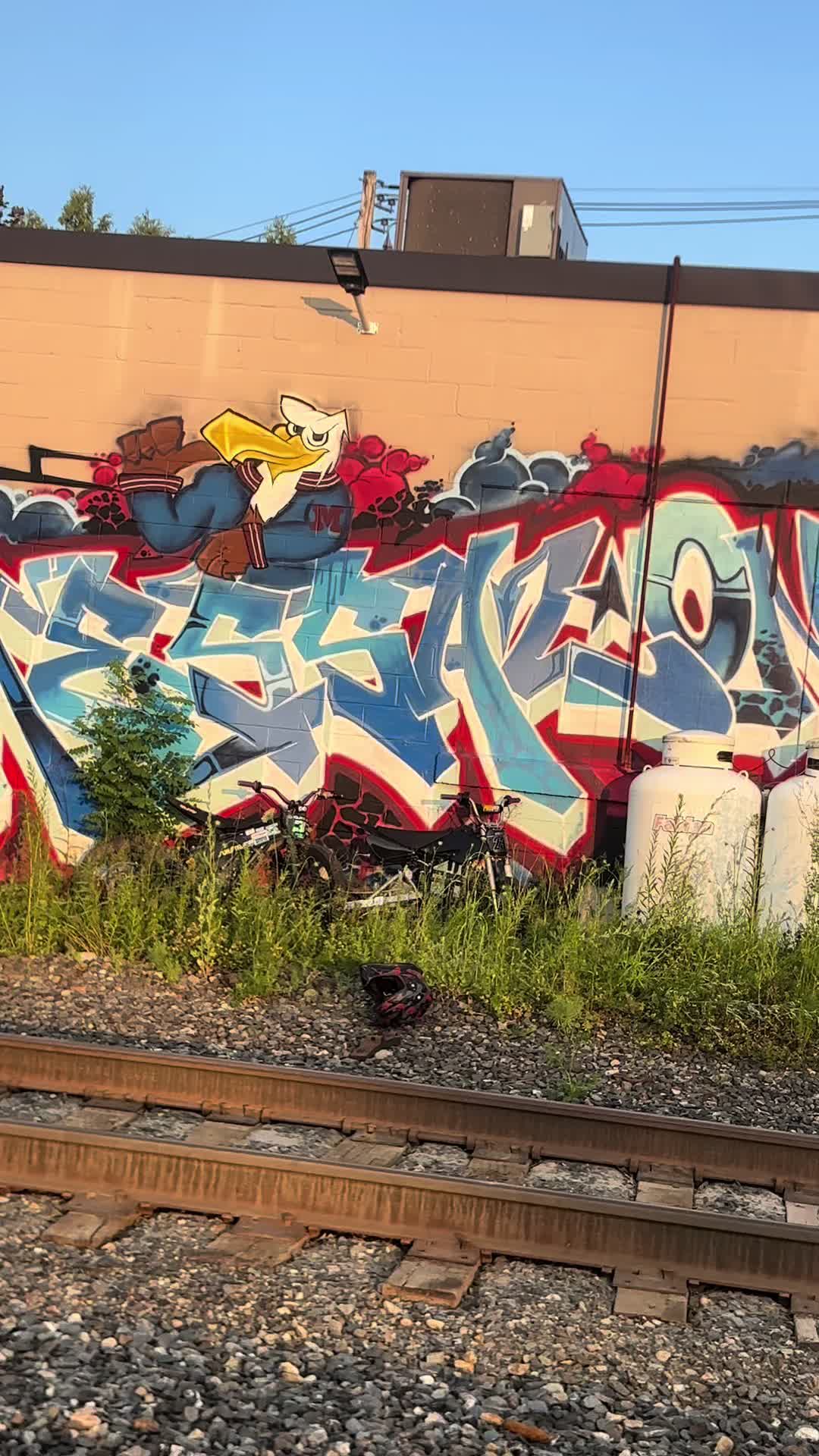 @x3.taylor