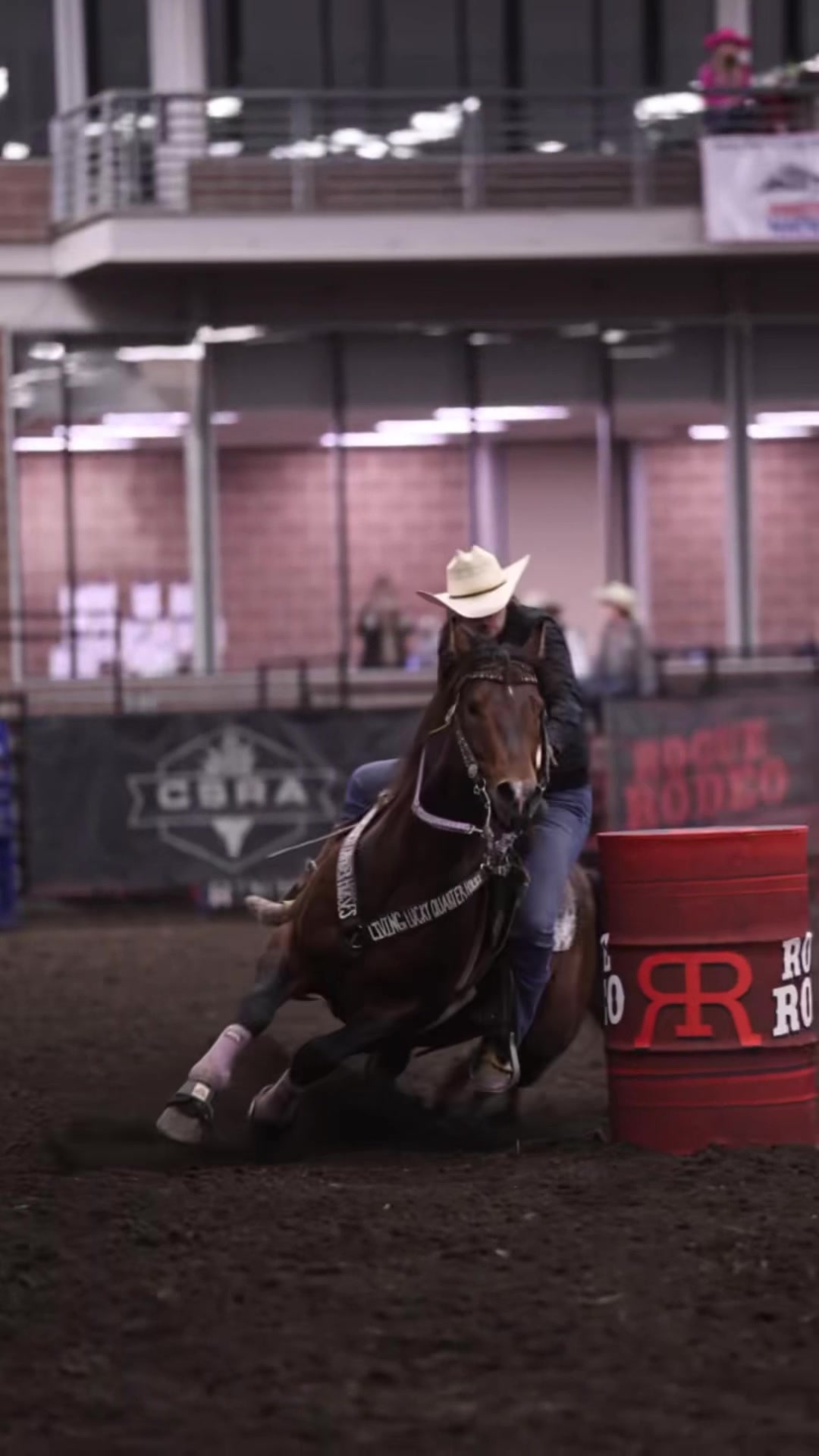 @Living Lucky Quarter Horses