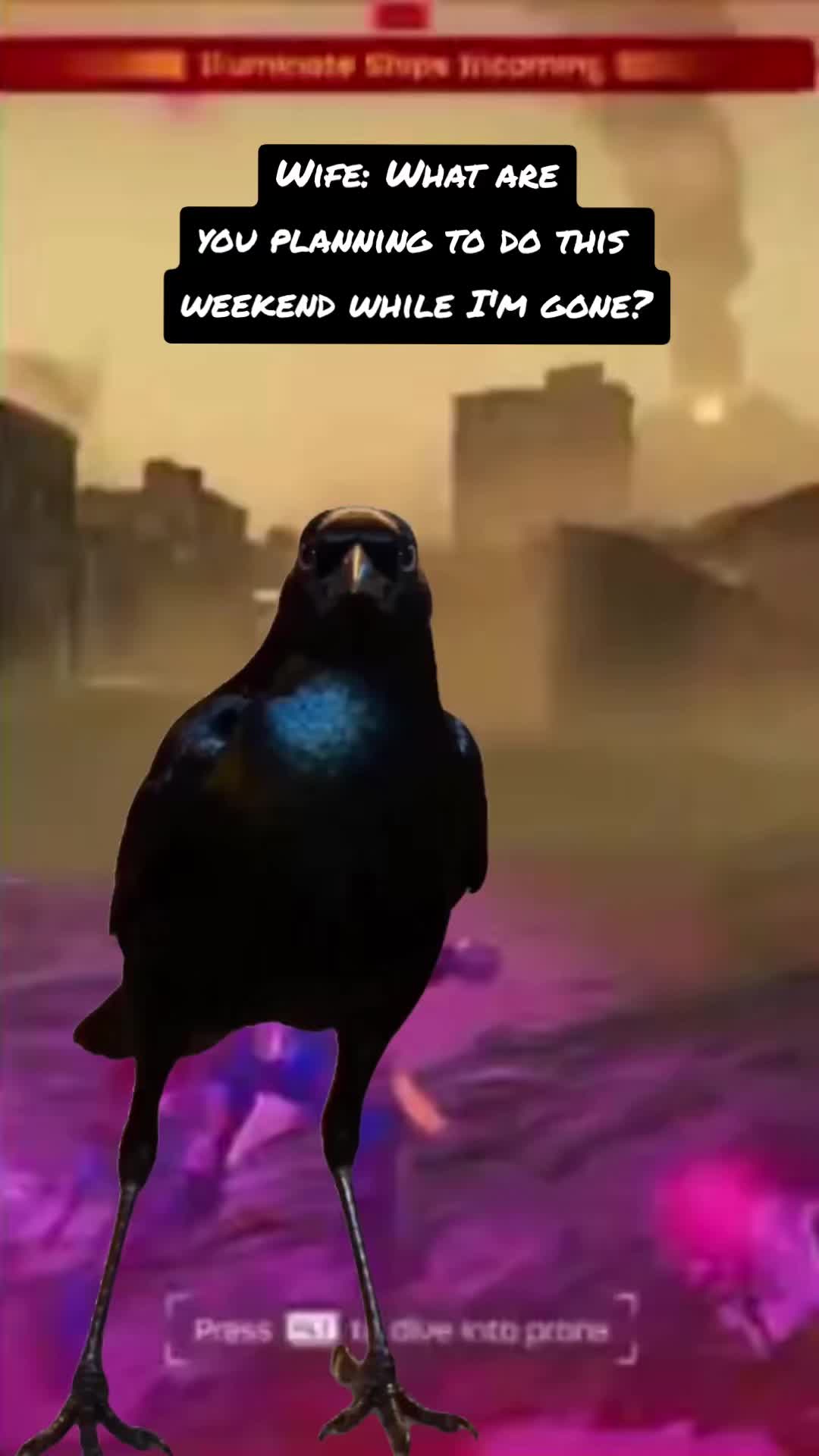 @NoahETG