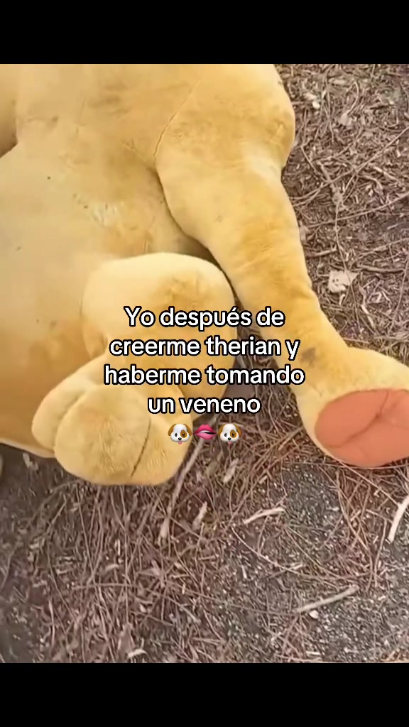 @juaann_seee