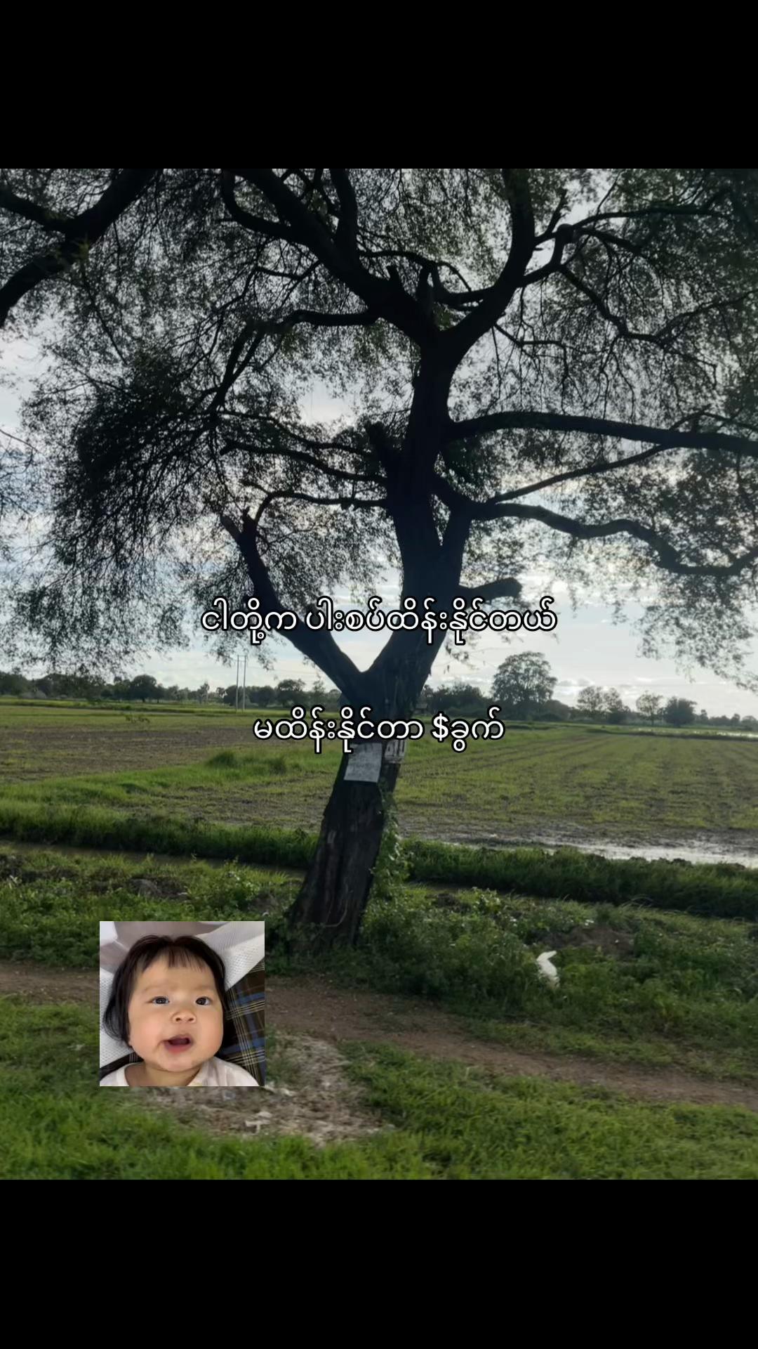 @Pann Ei Zaw