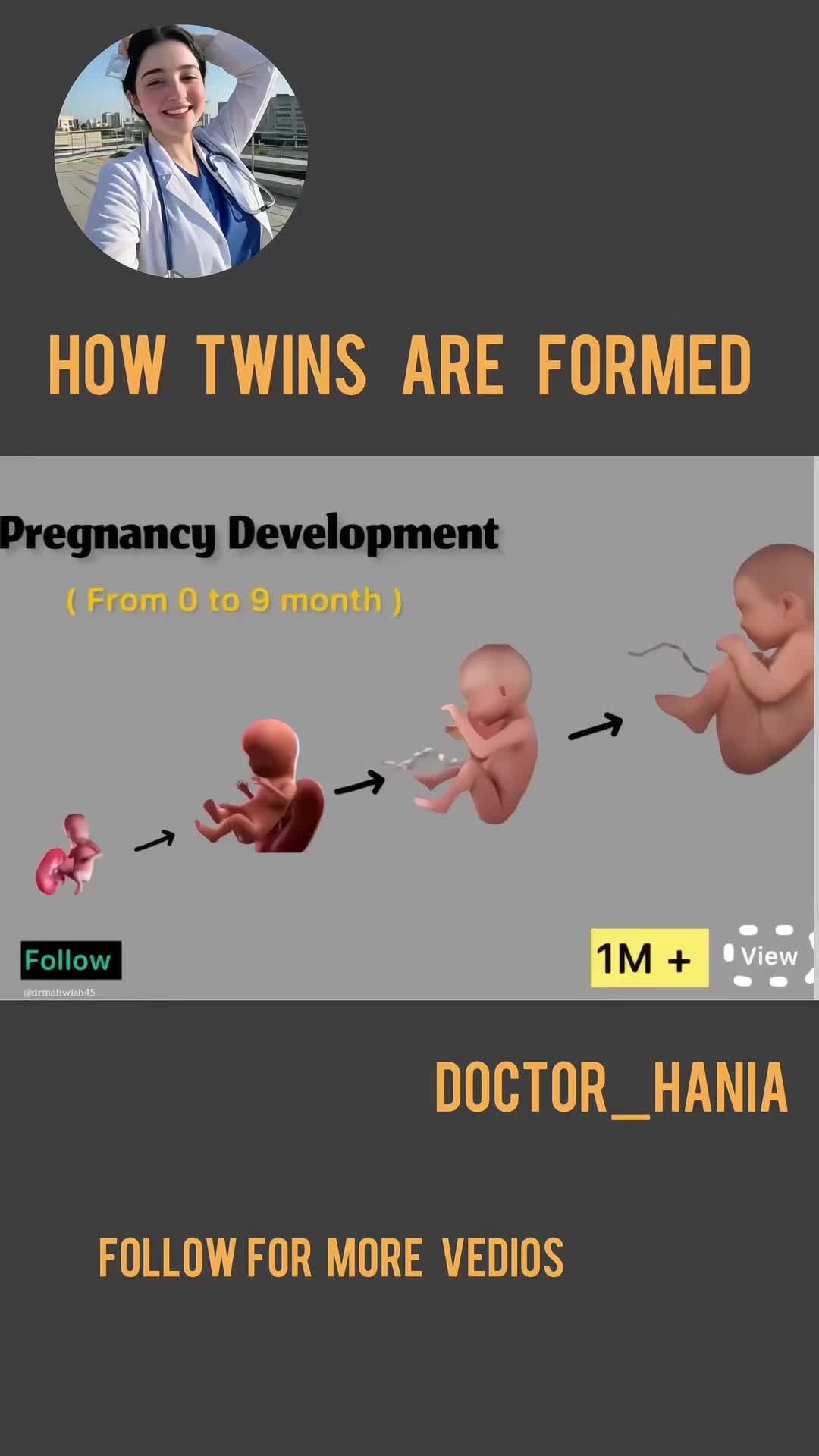 @Doctor Hania