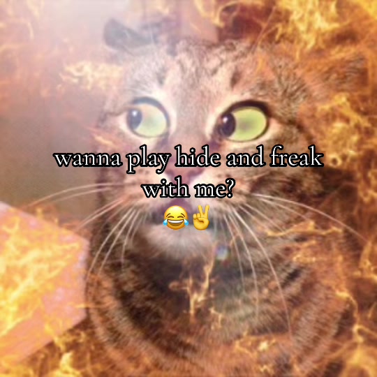 @vrodie4244