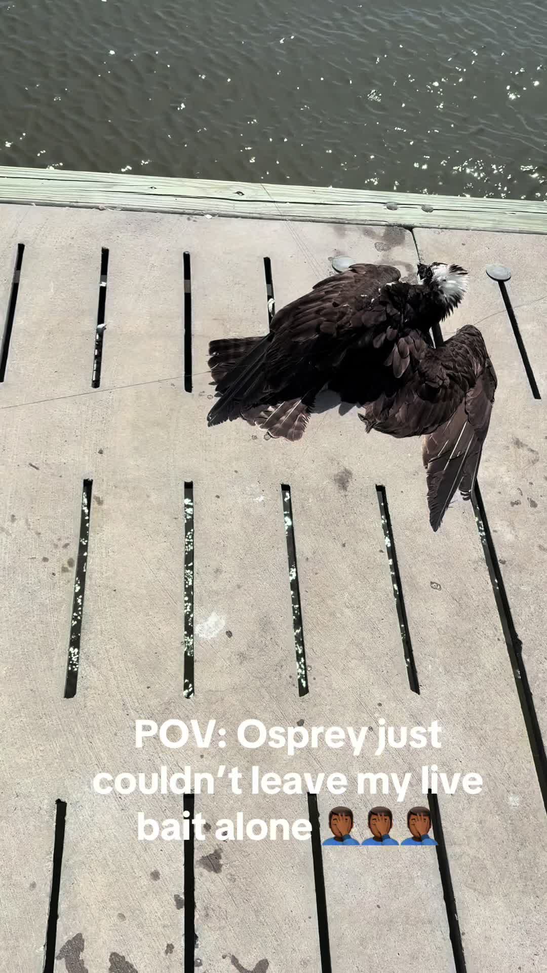 @DREWW🎣