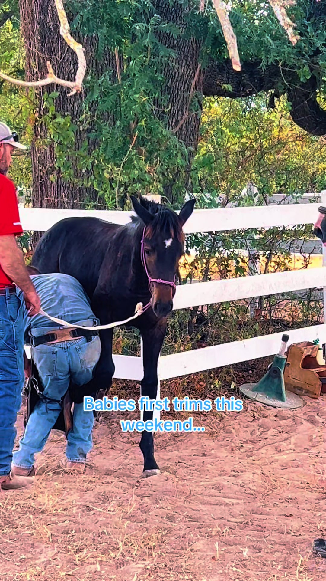 @Freedom Equestrian Center