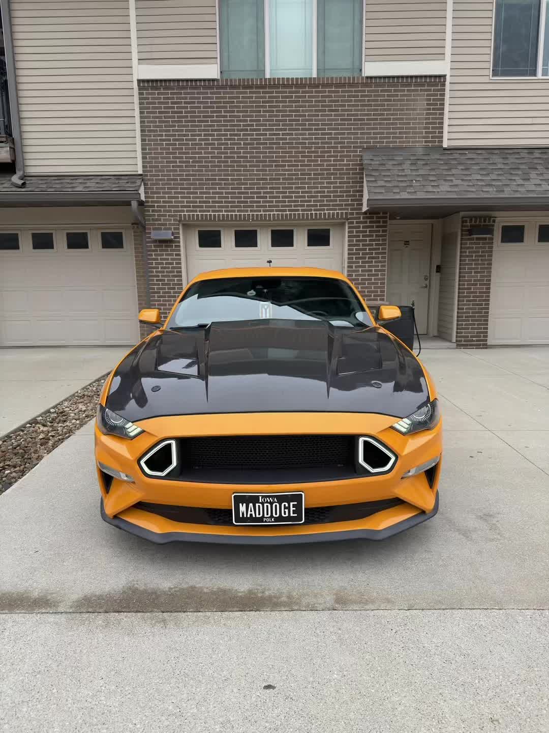@LaVidaDeBori787PR🇵🇷🐺