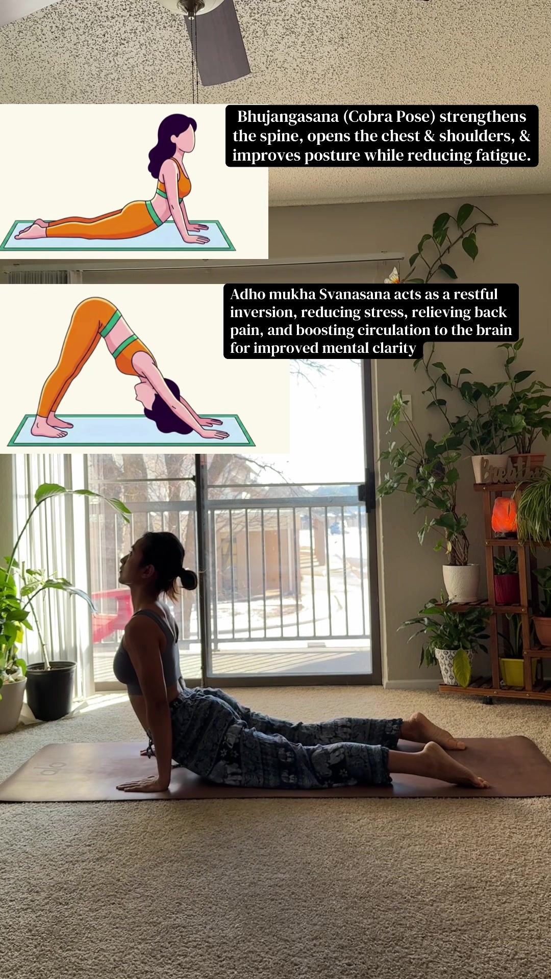 @sheandyoga