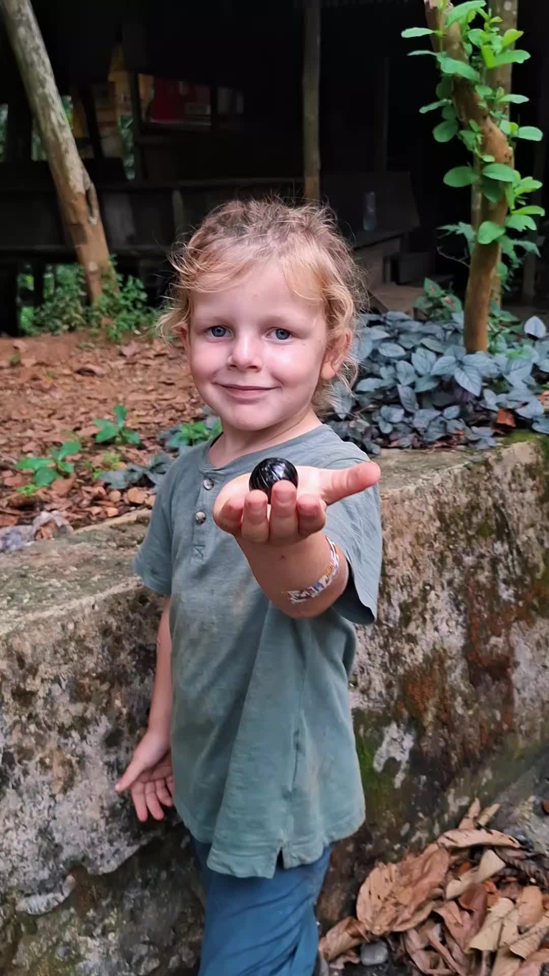 @Sumatra Ketambe Jungle Tours