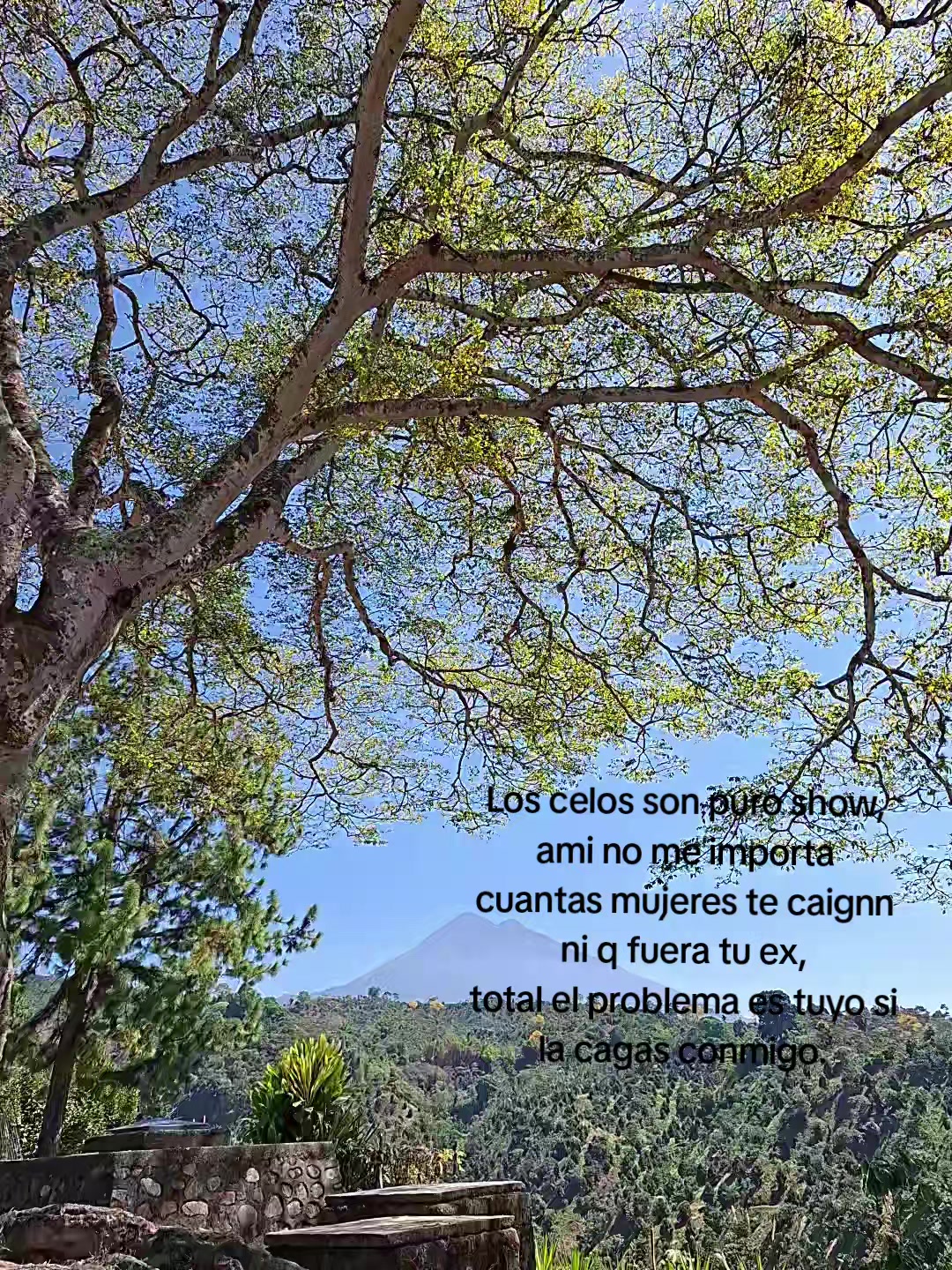 @🦋🐛Mare VB🦋🐛