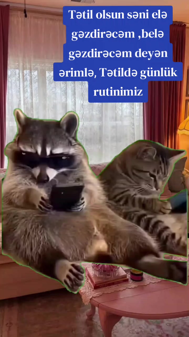 @ArzuMMooD♑
