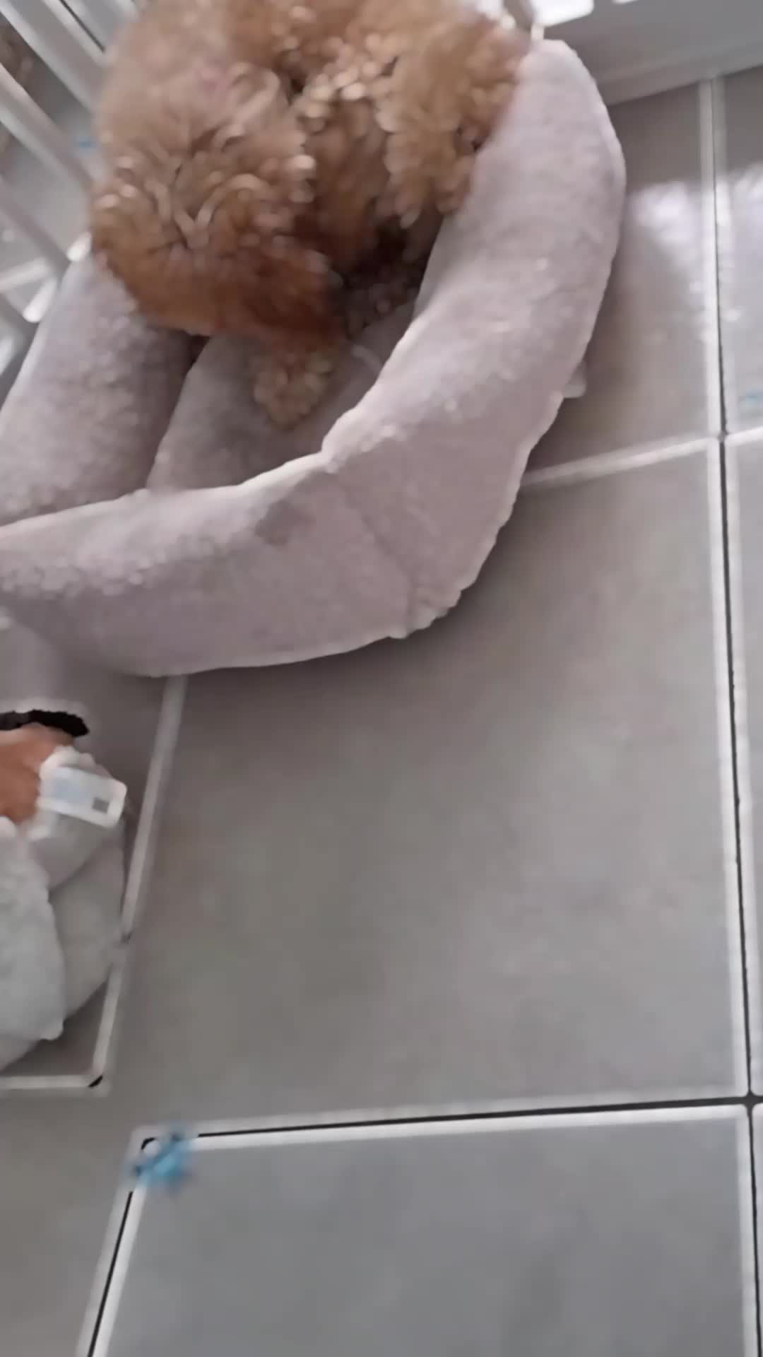 @mariamerced