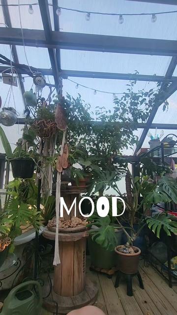 @plantymama🍄🪴💚