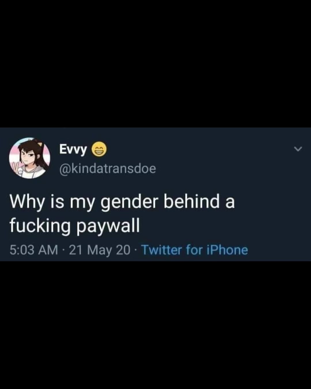 @chudtrans