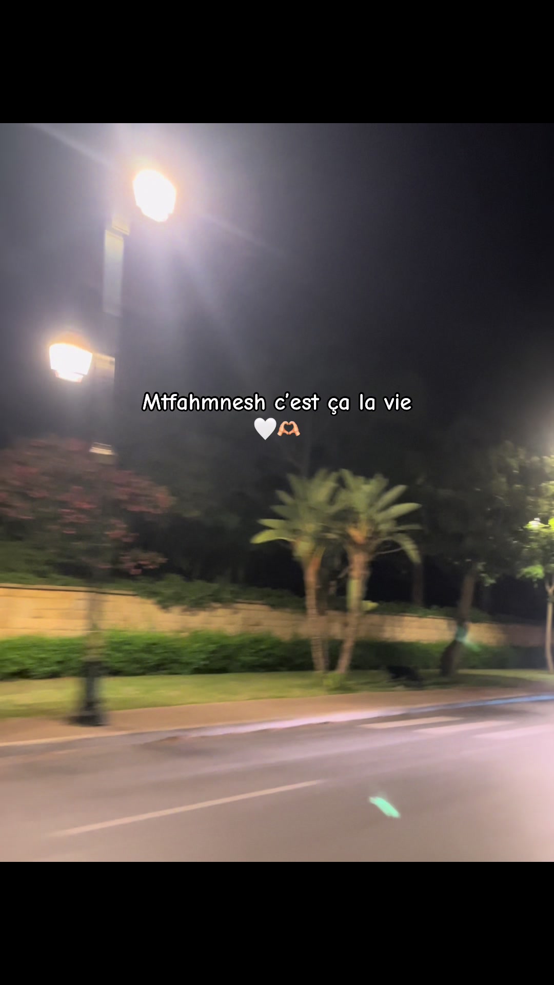 @๐ฆข