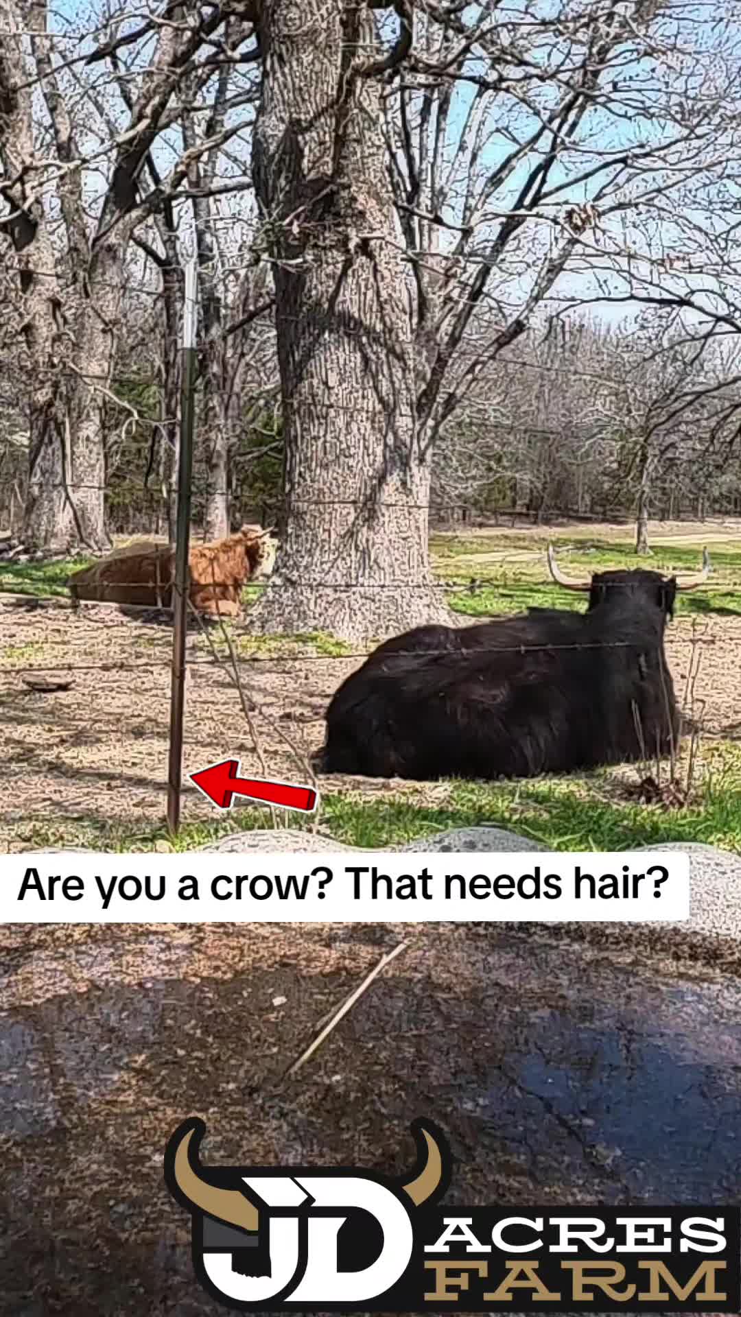 @JD Acres Farm