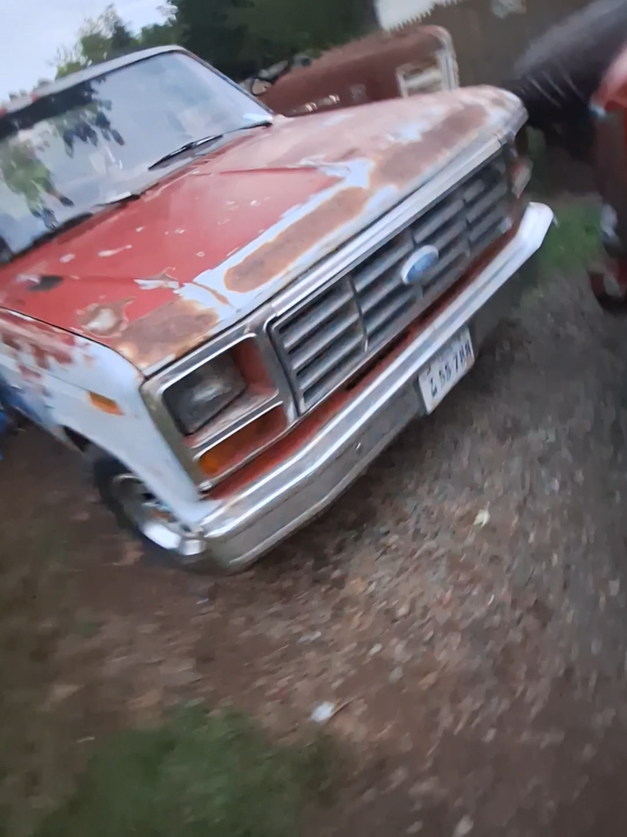 @“1983”bullnosef100
