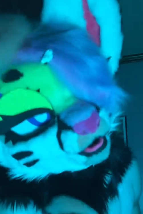 @Liger~Liger🐾🍉