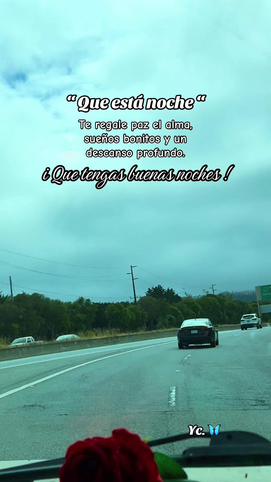 @🦋La Morenita🦋