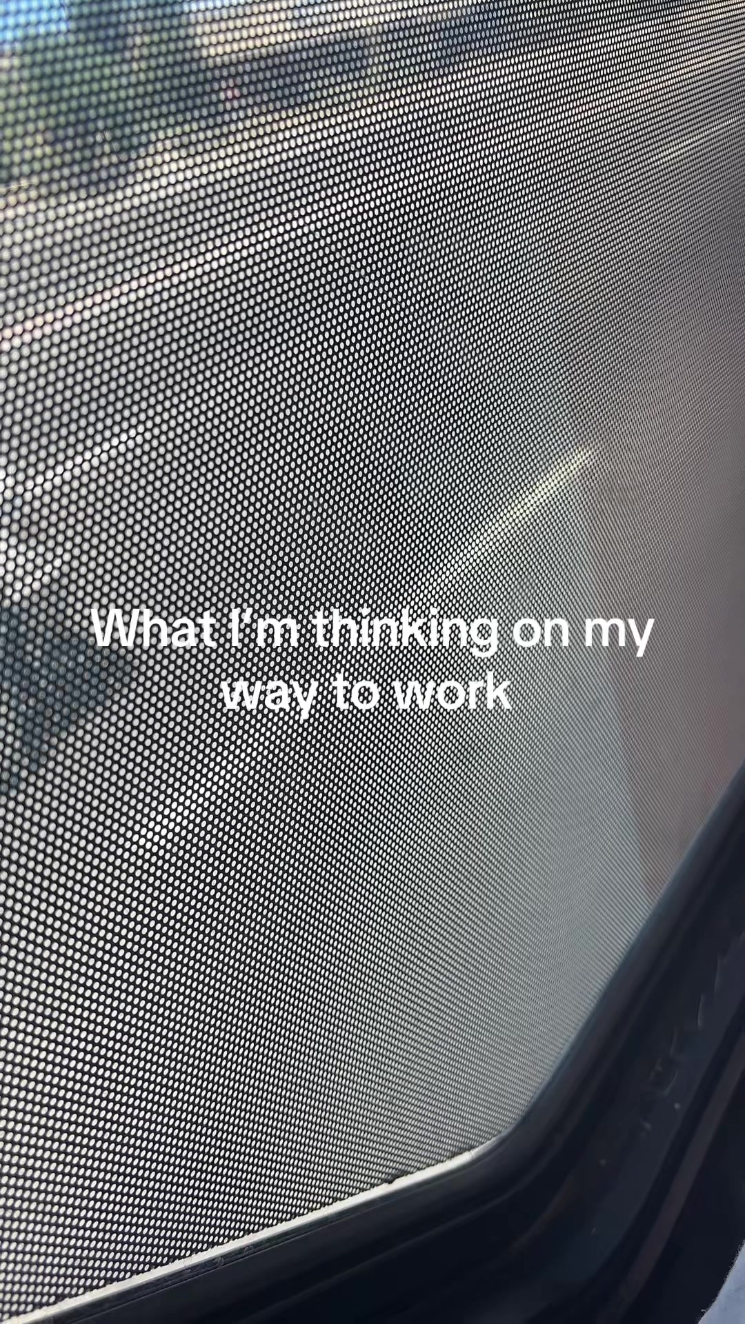 @moelife