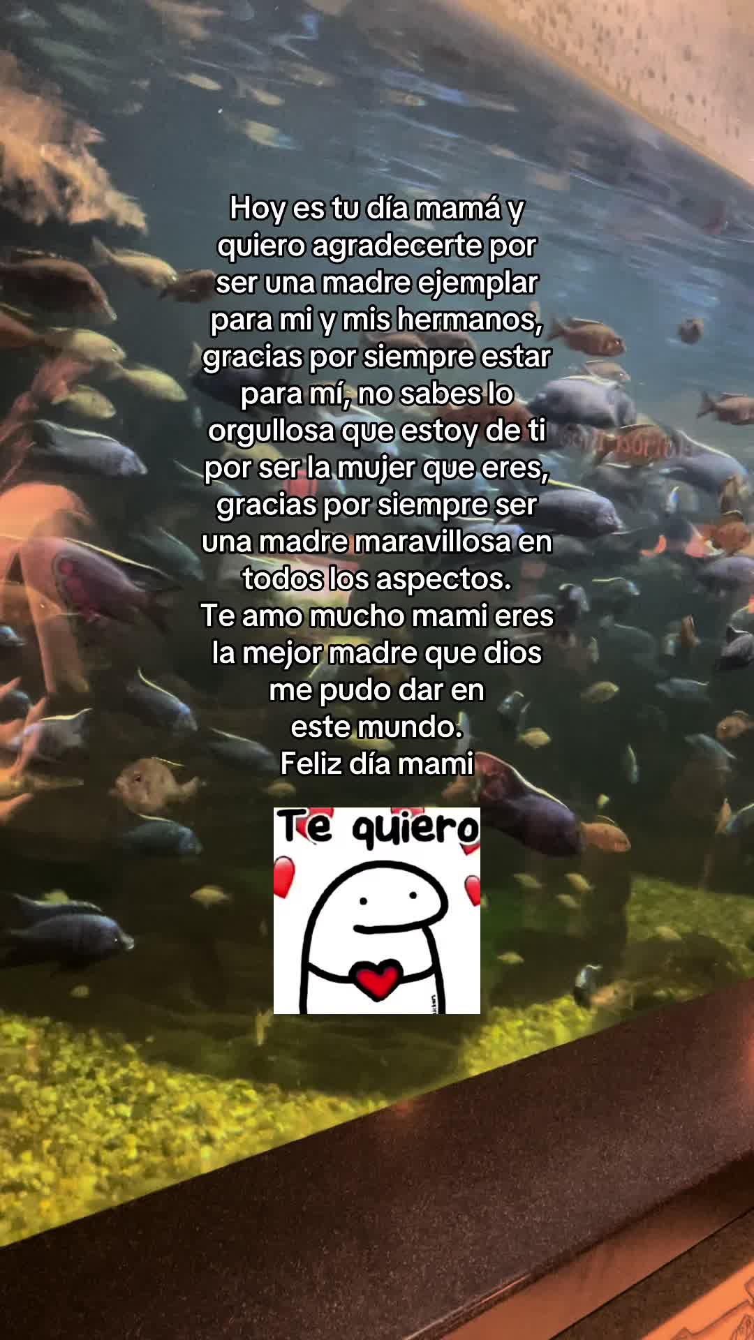 @꧁Frases 🍀🧑🍳Hernández🧸🛐꧂