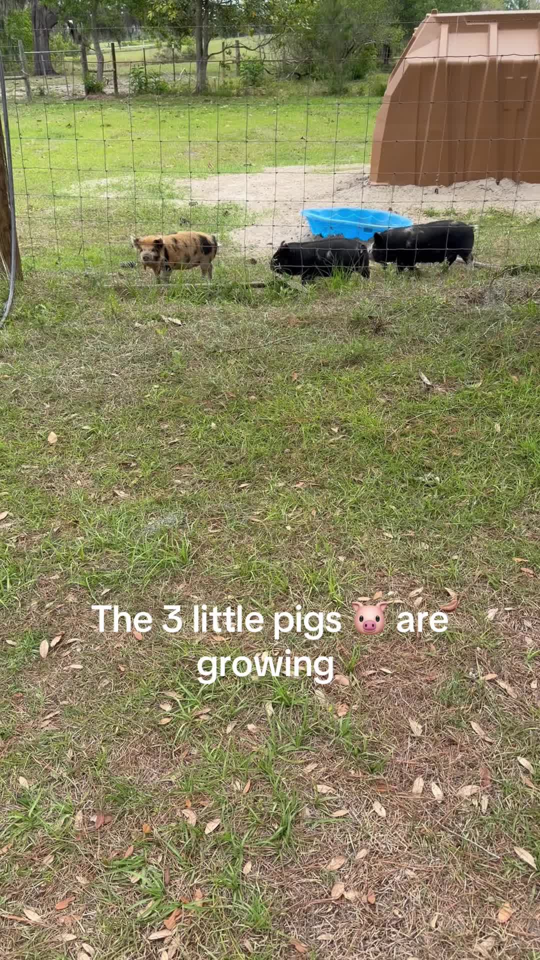 @Kelley Farms