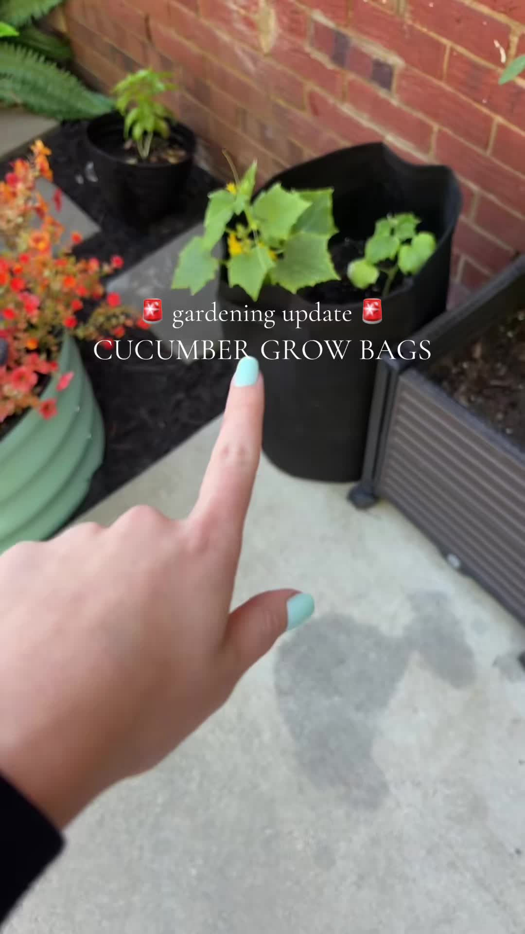 @katie 🌻