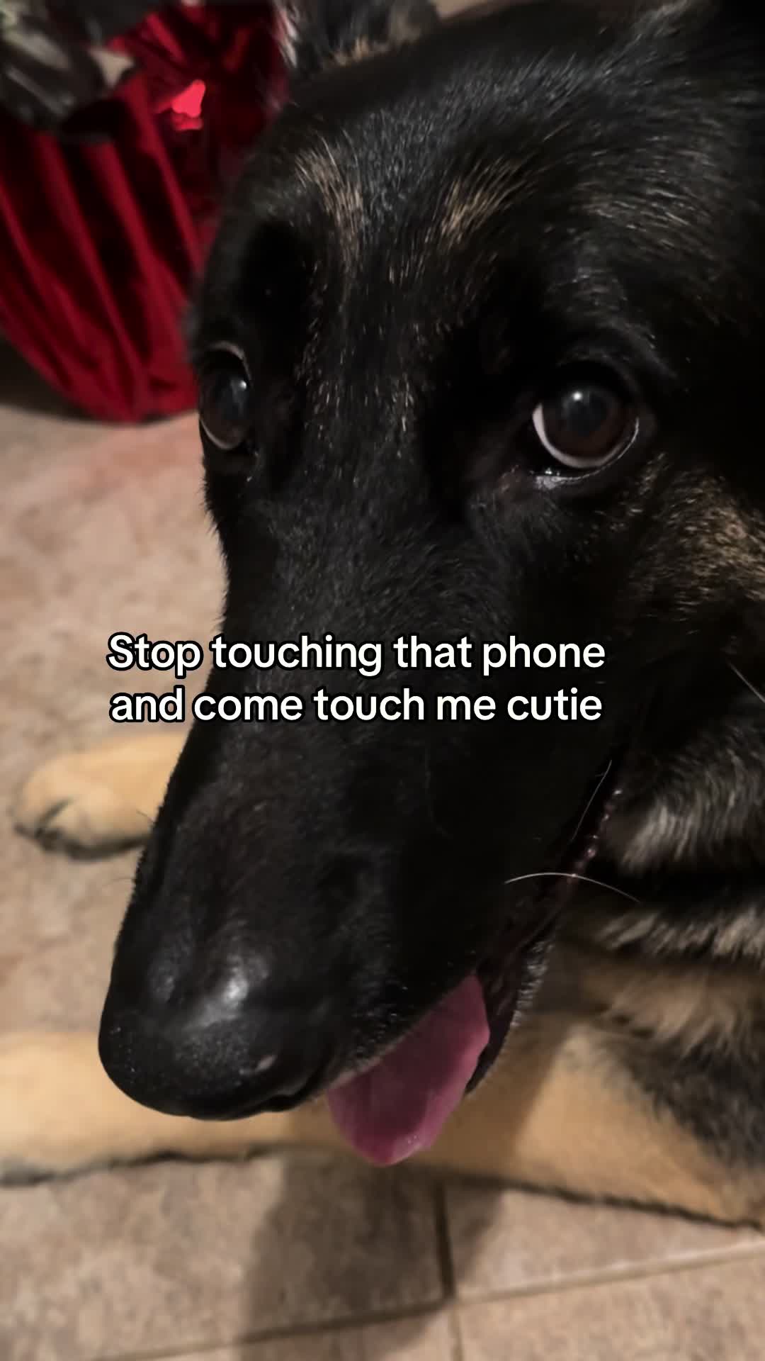 @Bhris