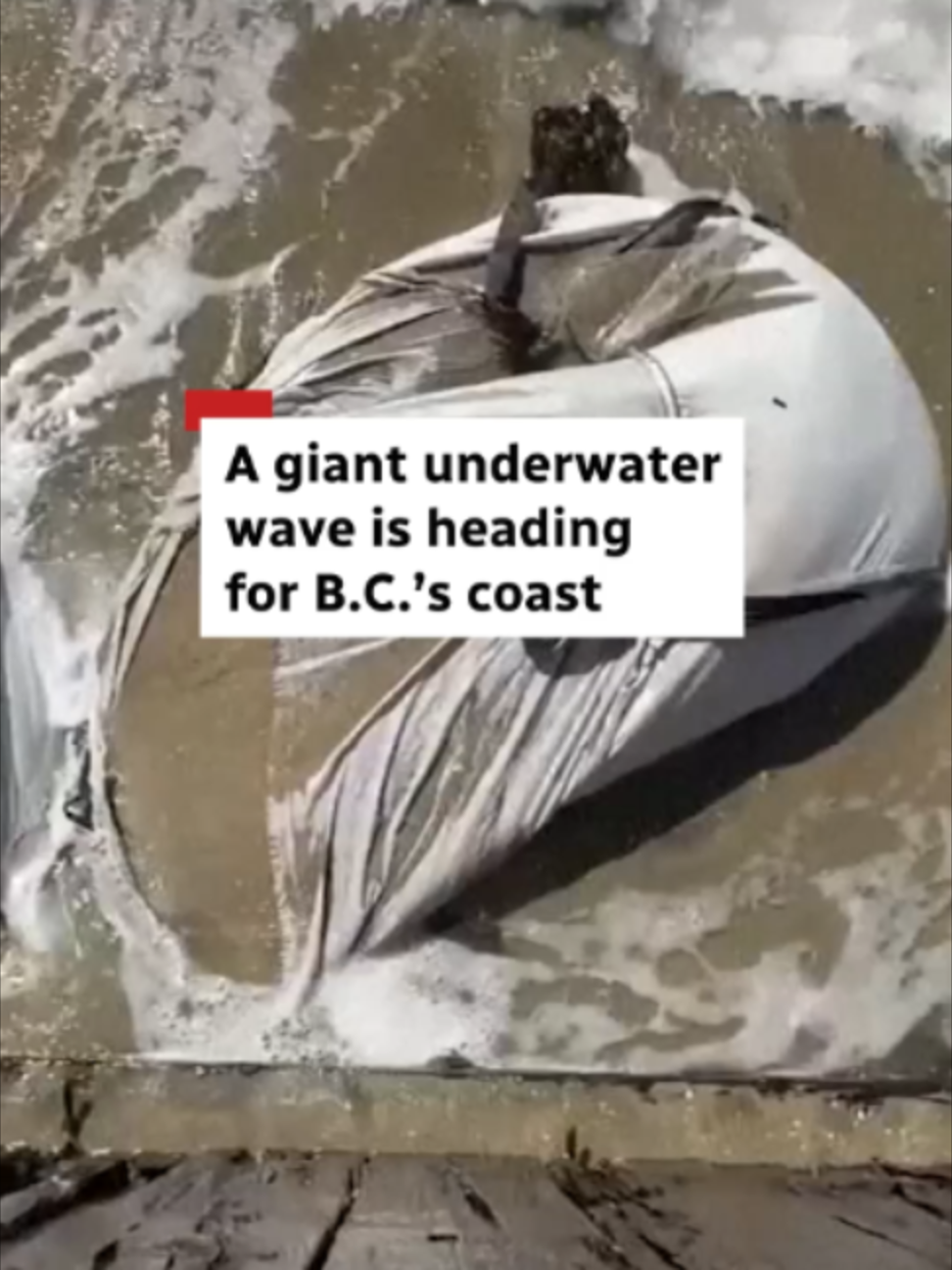@CBC News