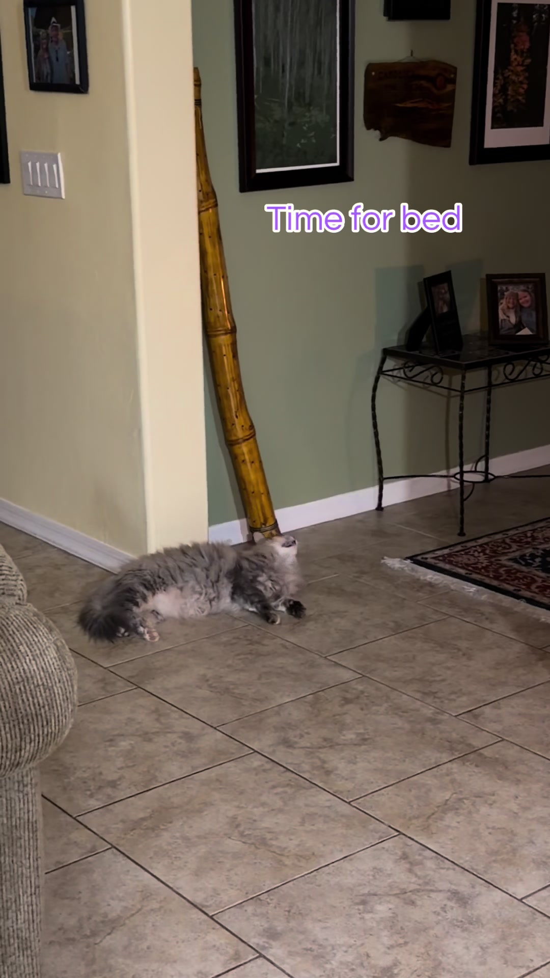 @desertgirly14