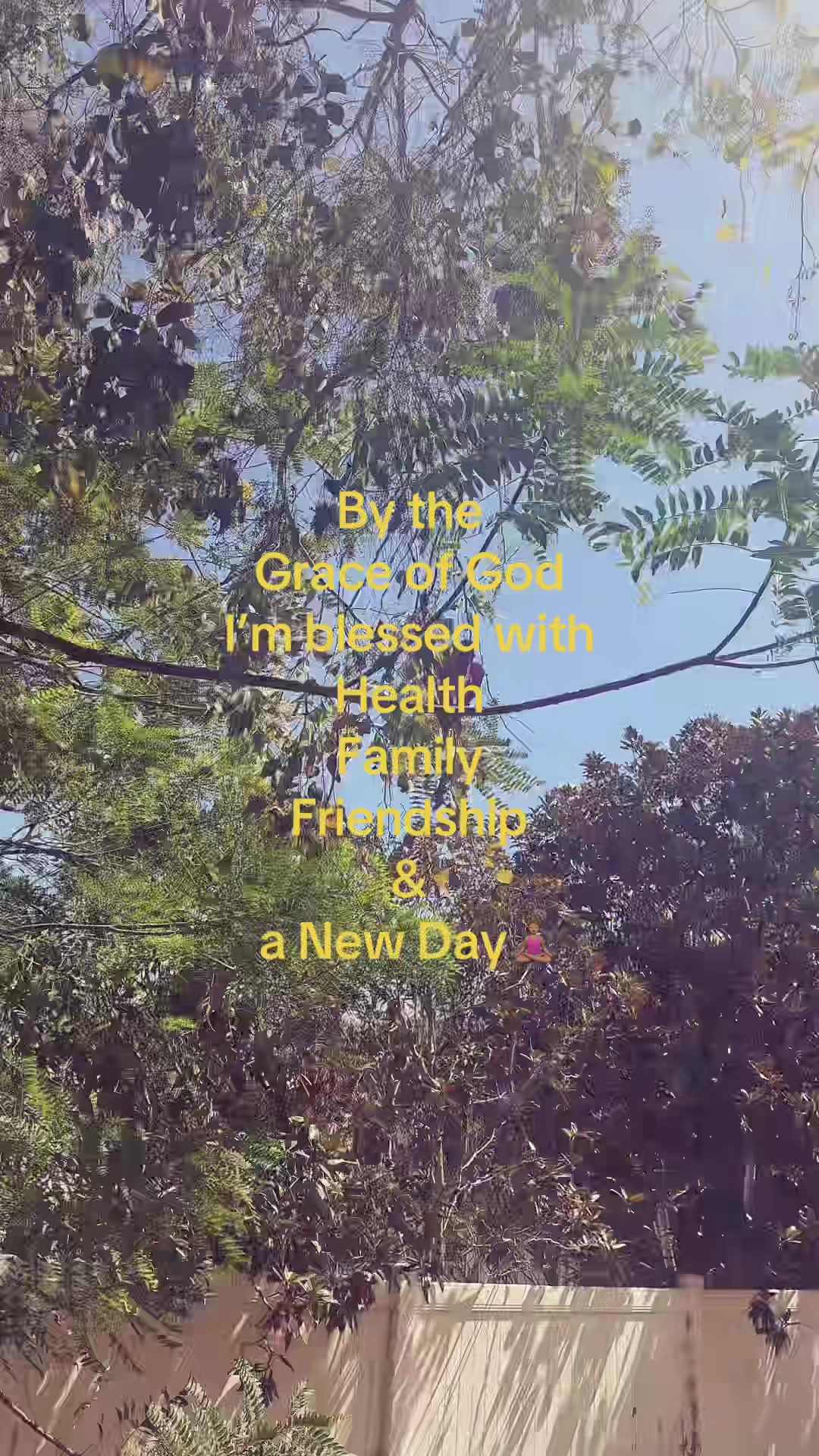 @imyosemite