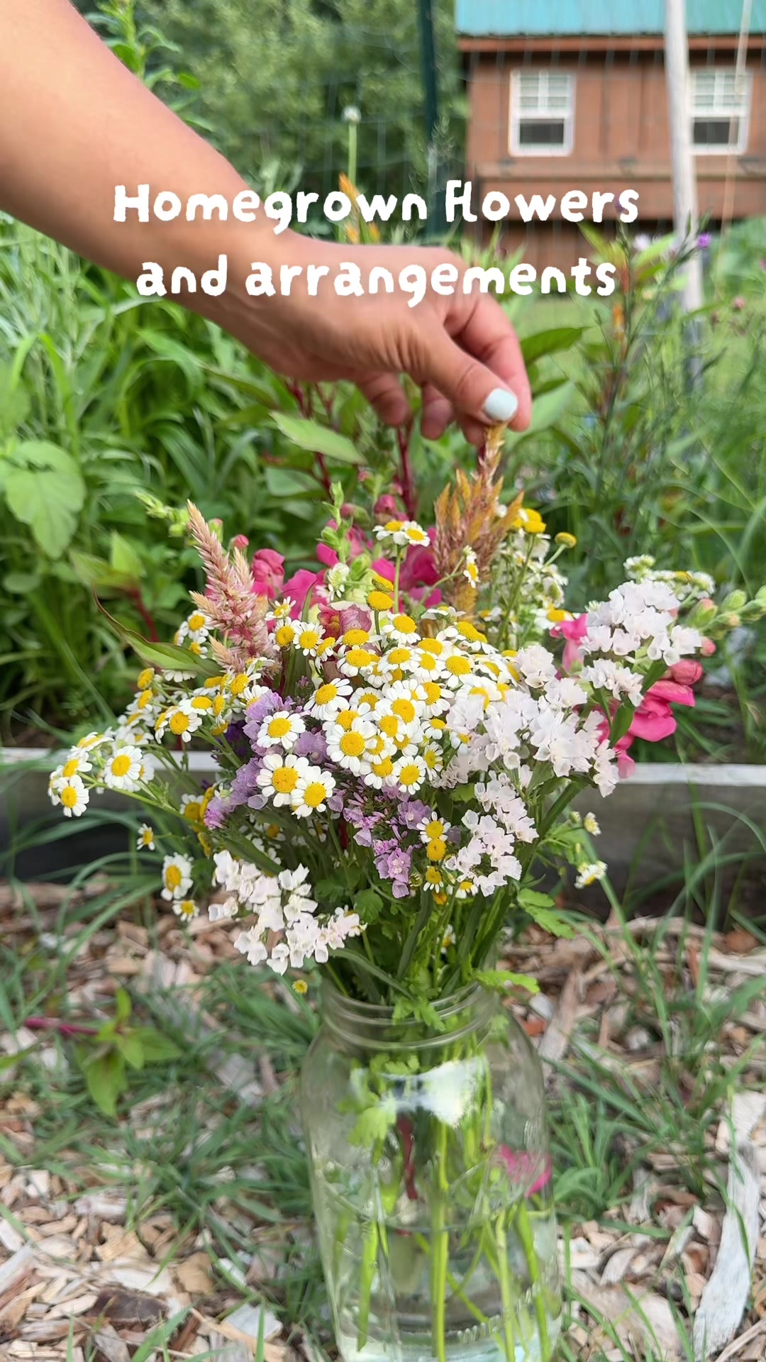 @Manica | zone 6a gardener