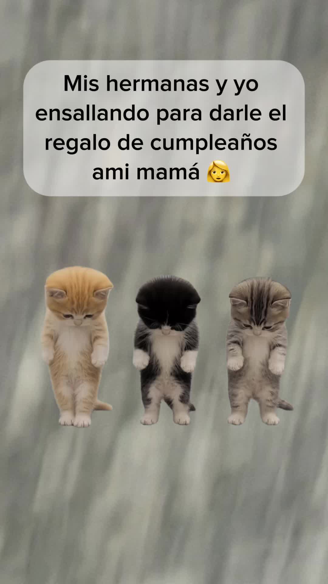 @ALICYA🎀🎀