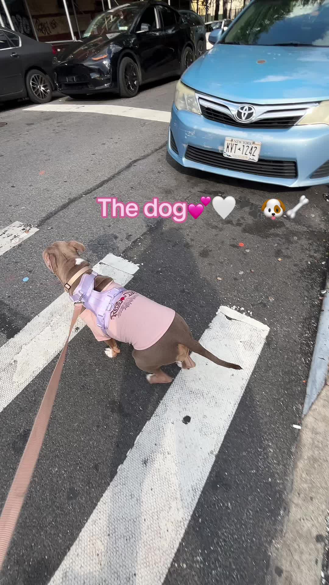 @TheCyb3rCh1ck