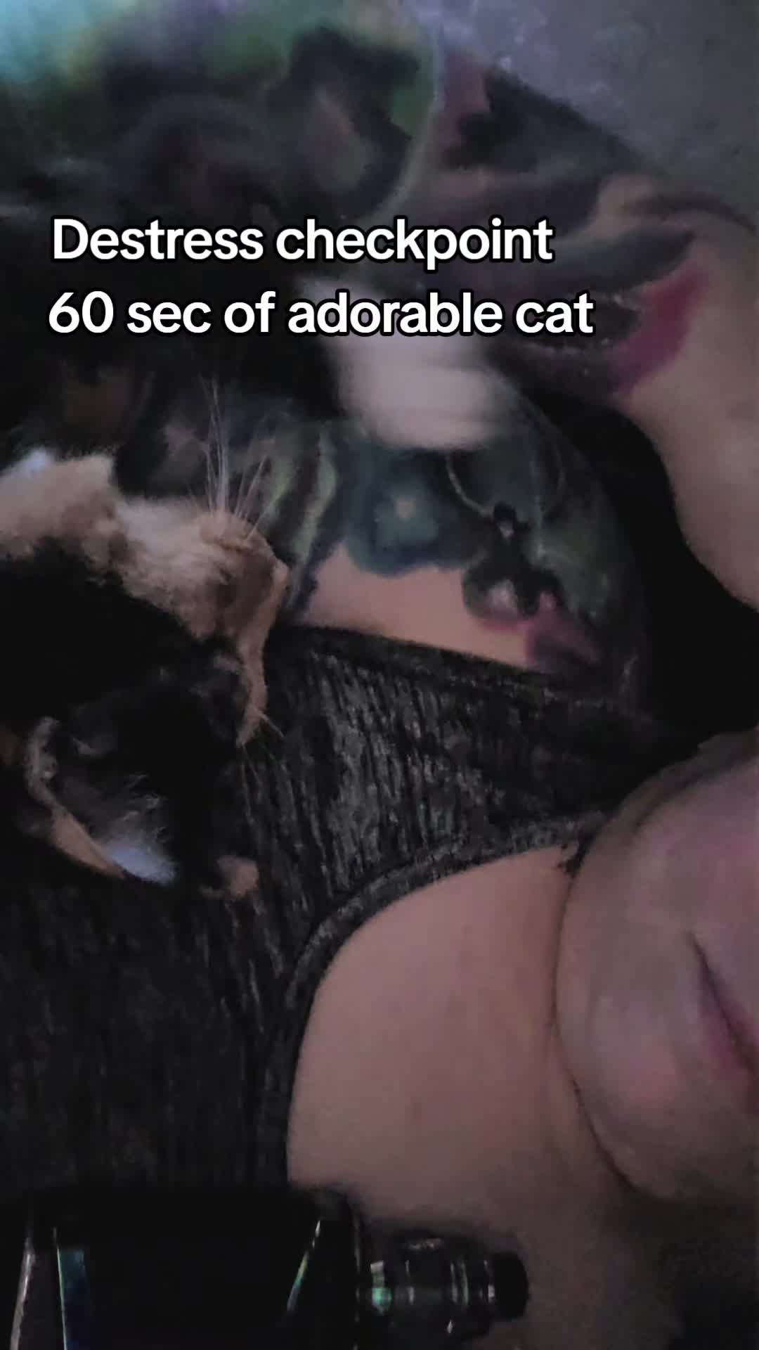 @CauseBoxTurtles🆘️🇺🇲