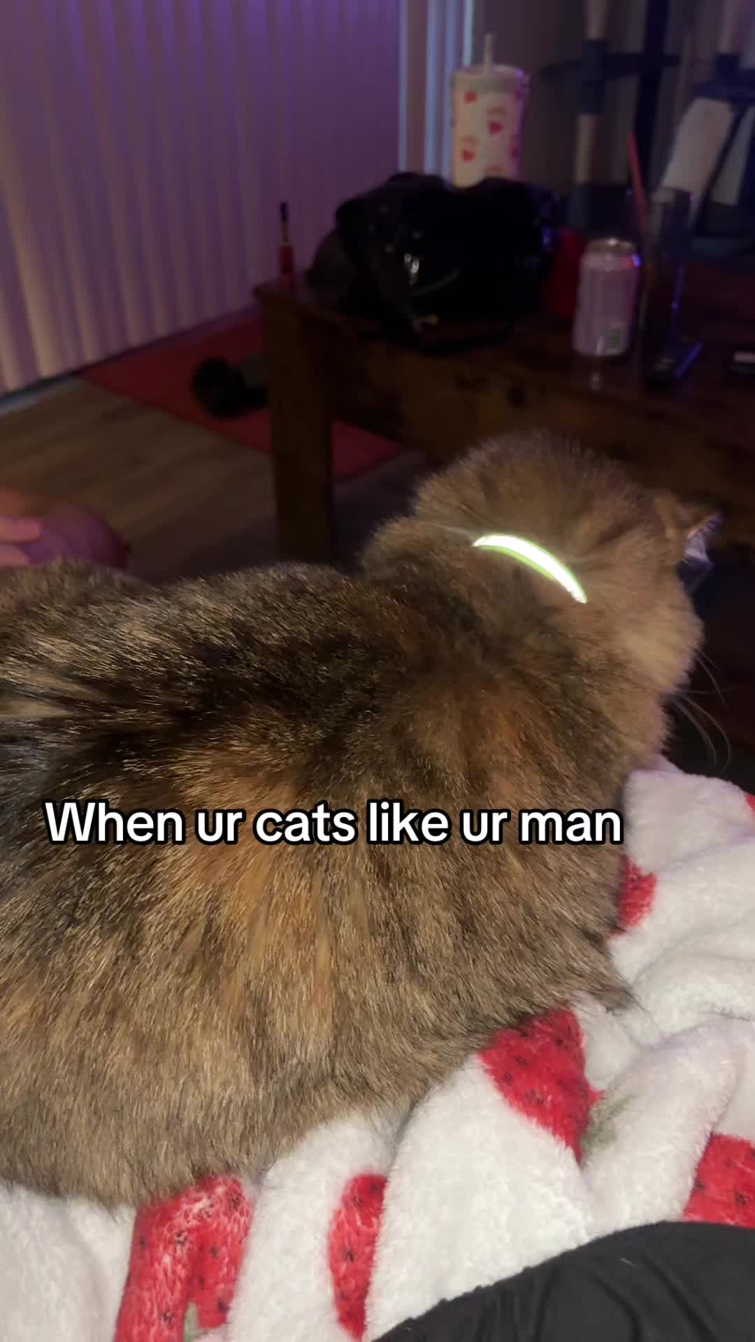 @Erica Rose