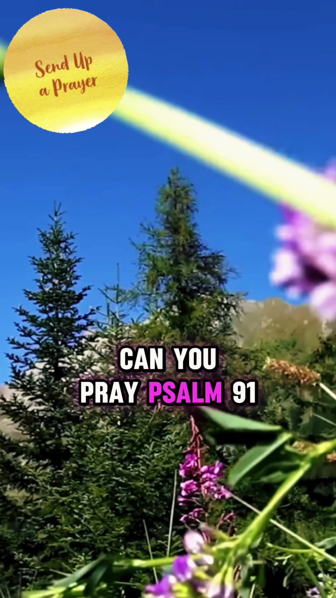 @๐ดMalibu๐ด