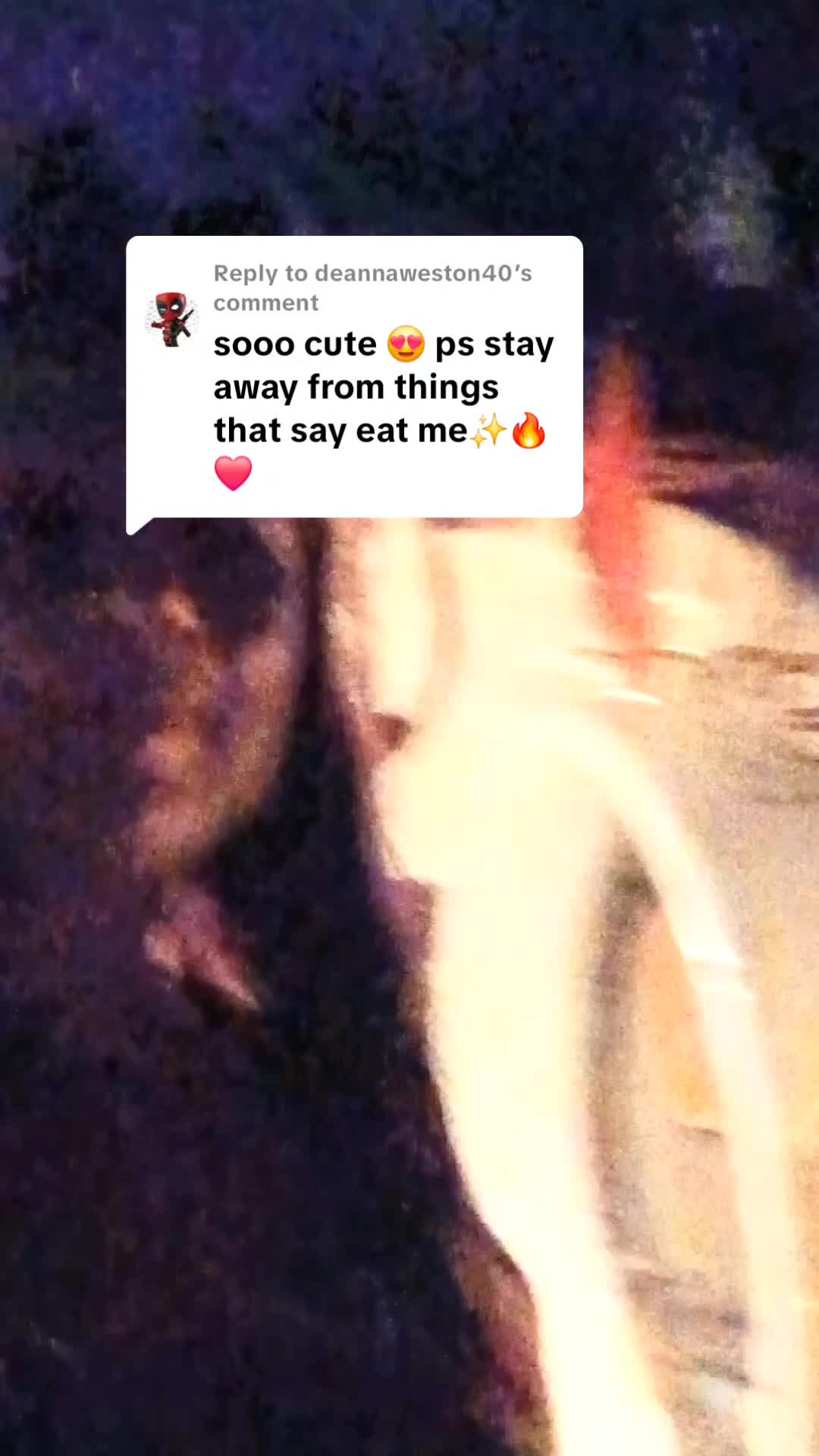 @cactifam