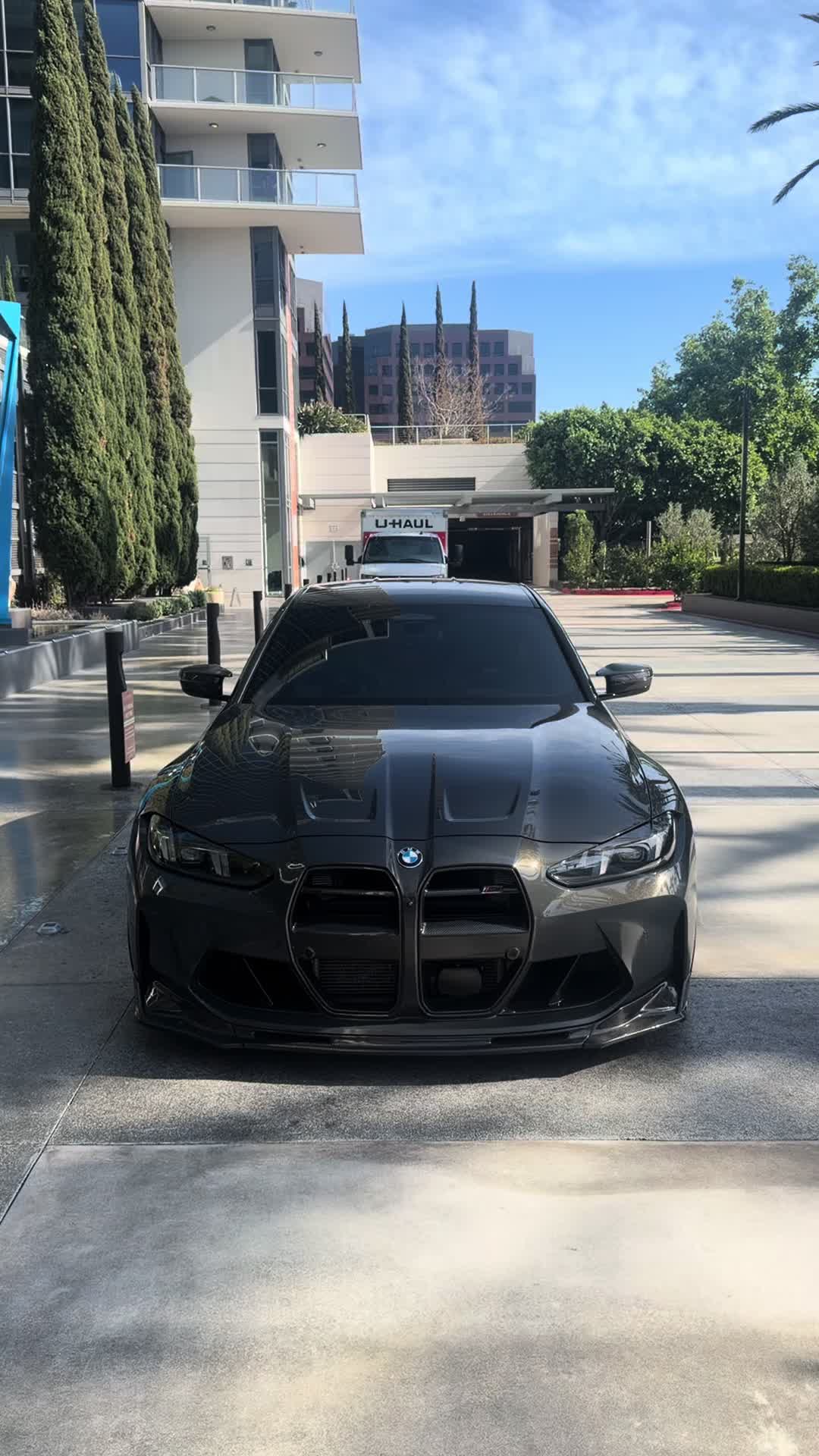 @sheeshg8x