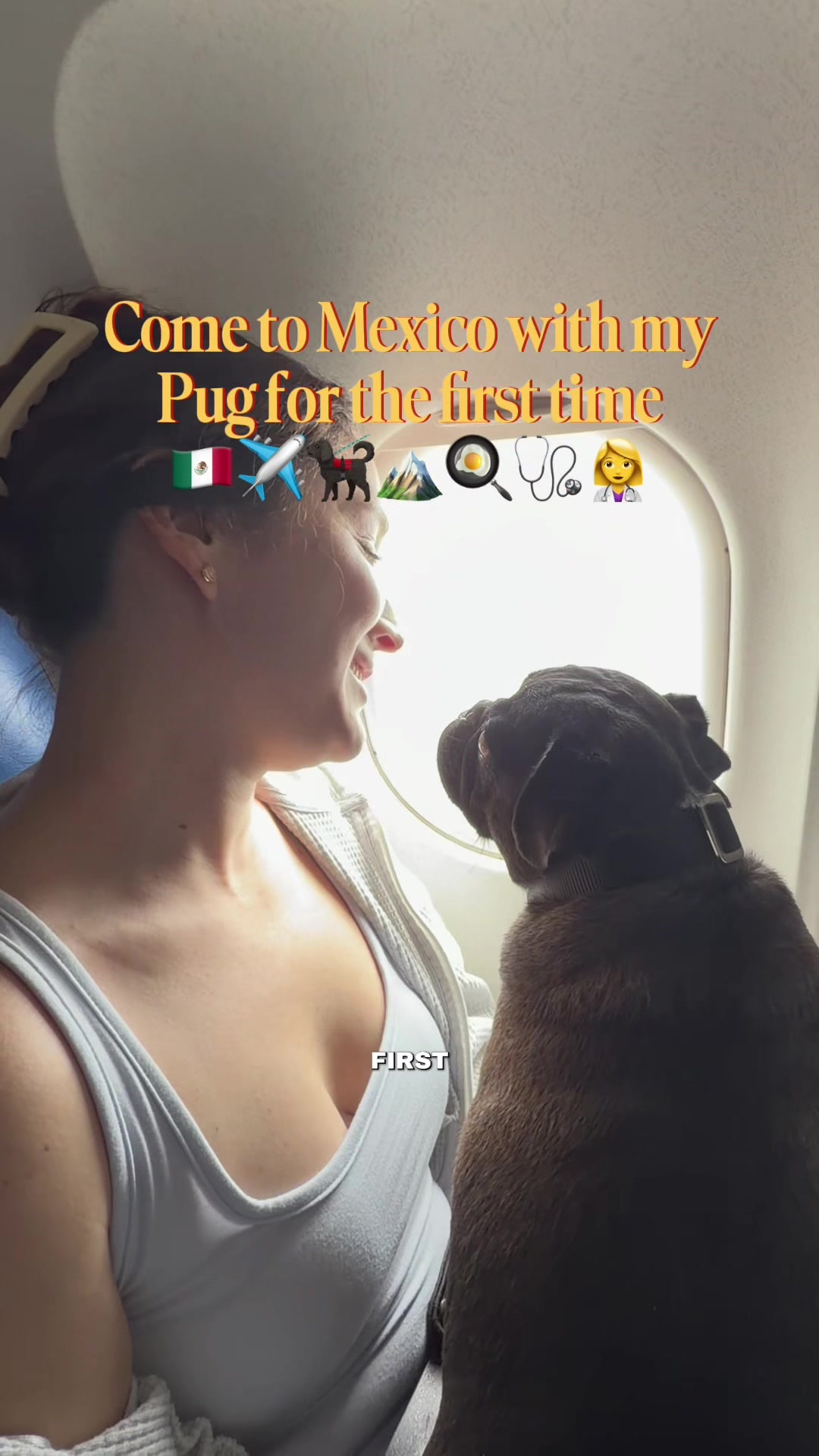 @papitheservicepug