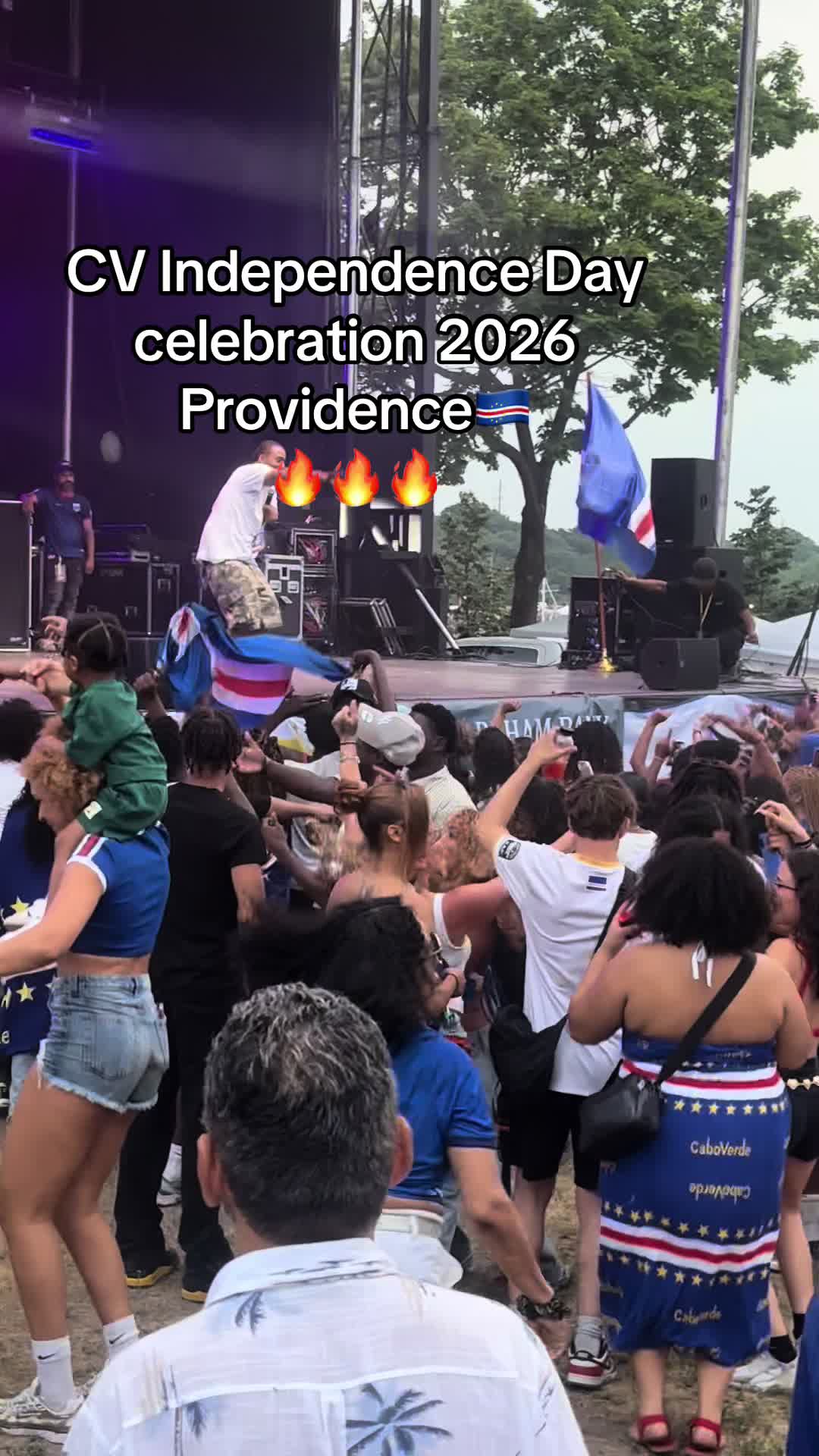 @mizcorreia508