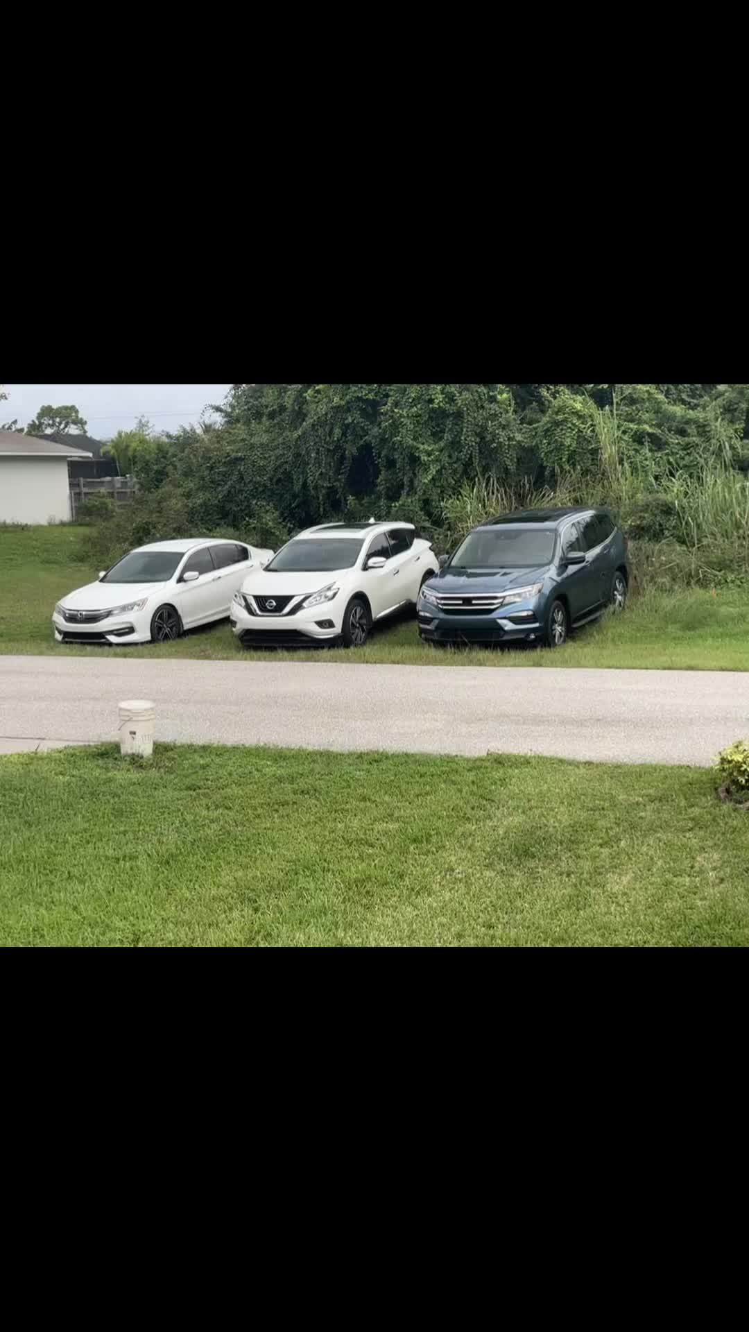 @robervidal4