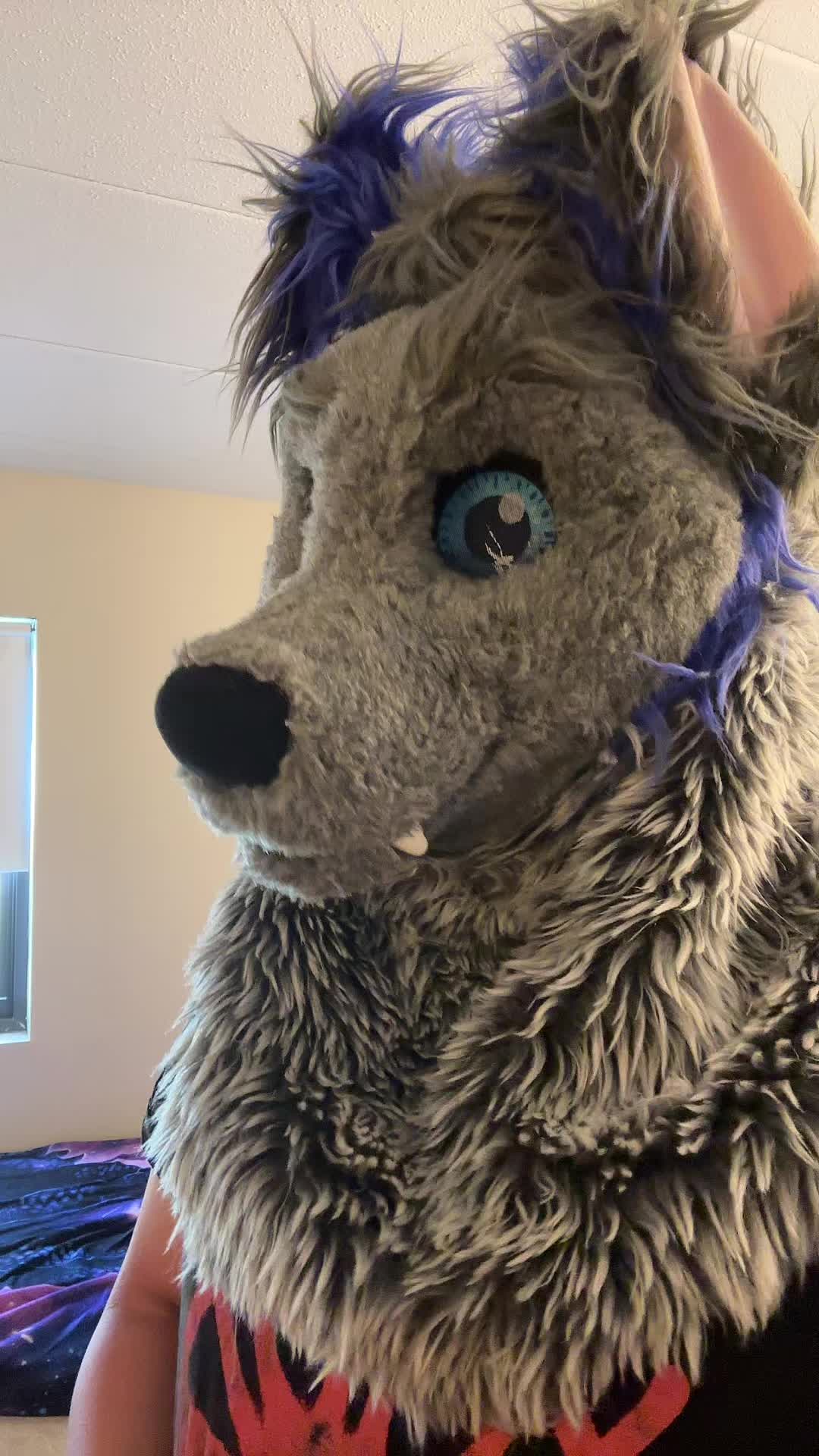 @ph0toshoot