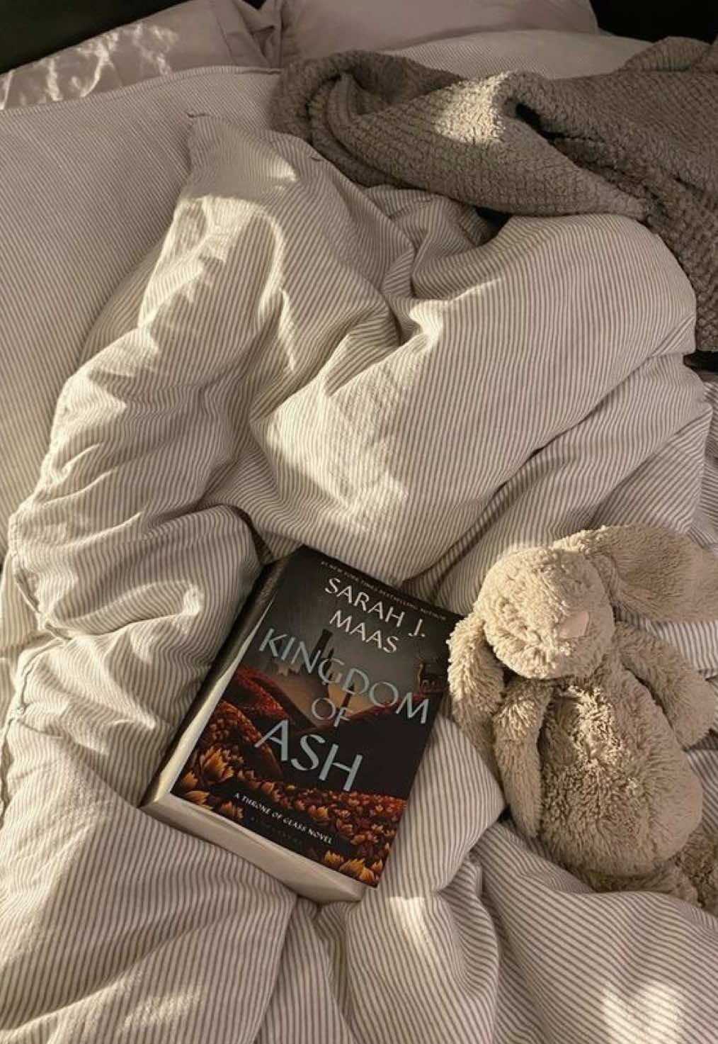 @luciashelff📖