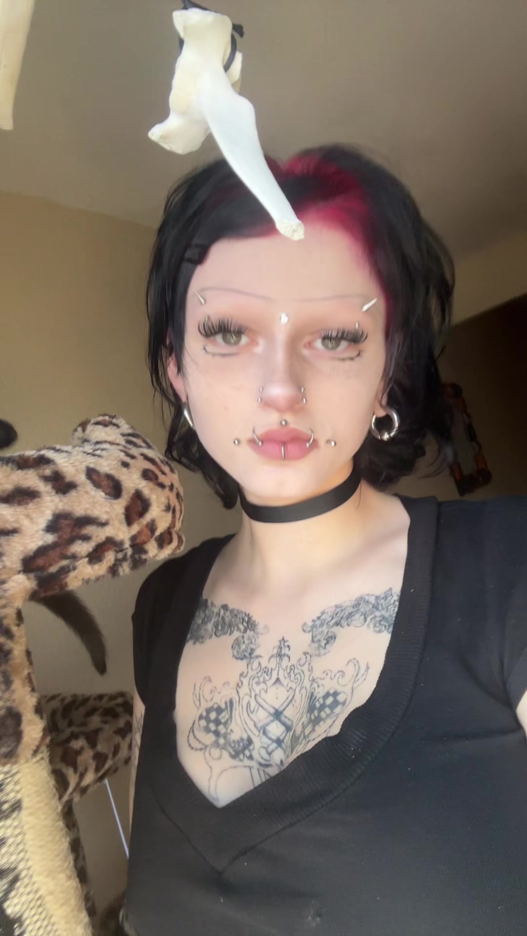 @🏴☠️stellapoo🏴☠️